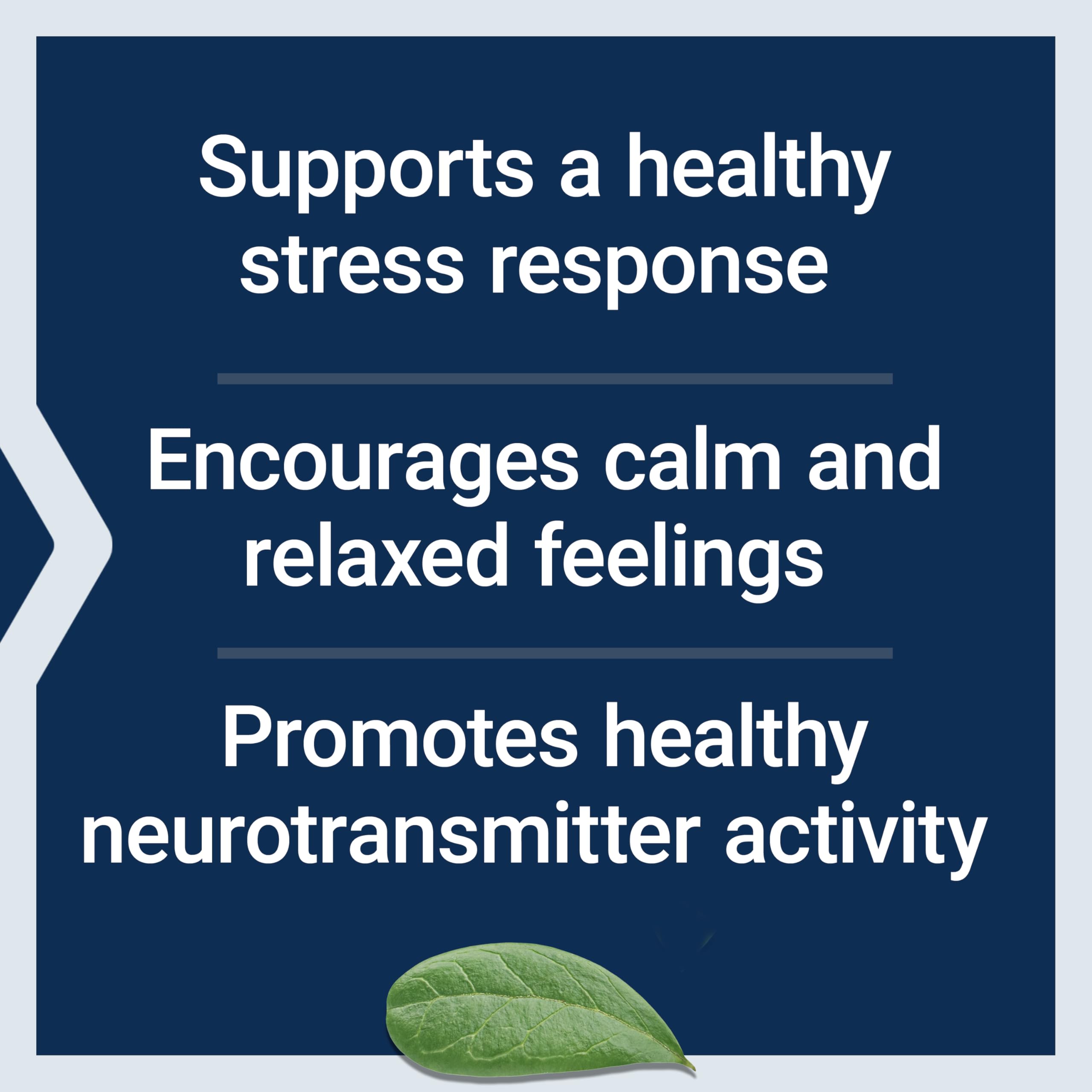 Life Extension Calm-Mag, Magnesium Acetyl taurinate, Daily Stress Management Formula, Supports Calmness and Relaxation, Gluten-Free, Non-GMO, Vegetarian, 30 Capsules Life Extension uk supplements