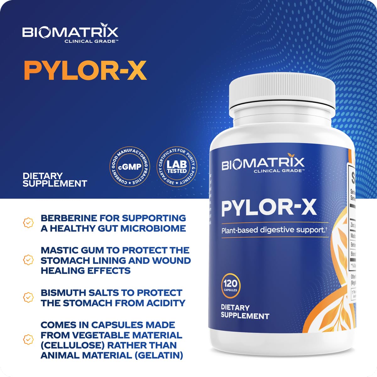 BioMatrix Pylor-X Gut Health Supplement – Mastic Gum, Berberine, Zinc Carnosine & Bismuth Salts for Gastric Support, Digestive Comfort, Stomach Lining Protection - (120 Capsules) 30-60 Day Supply BioMatrix uk supplements