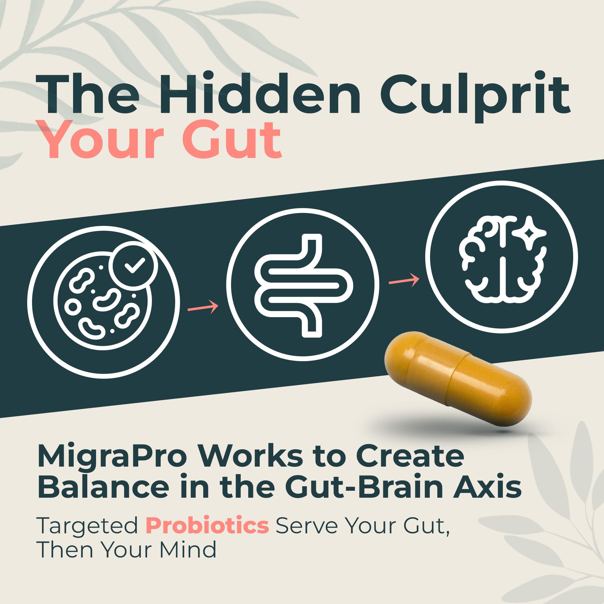 Dr. Munnerlyn MigraPro with Probiotics, Brain and Gut Health Support Supplement with Magnesium, Riboflavin, CoQ10, Ginger Root, Asian Ginseng, Vitamin C, Feverfew & Turmeric, Gluten Free, 90 Capsules Dr. Munnerlyn uk supplements