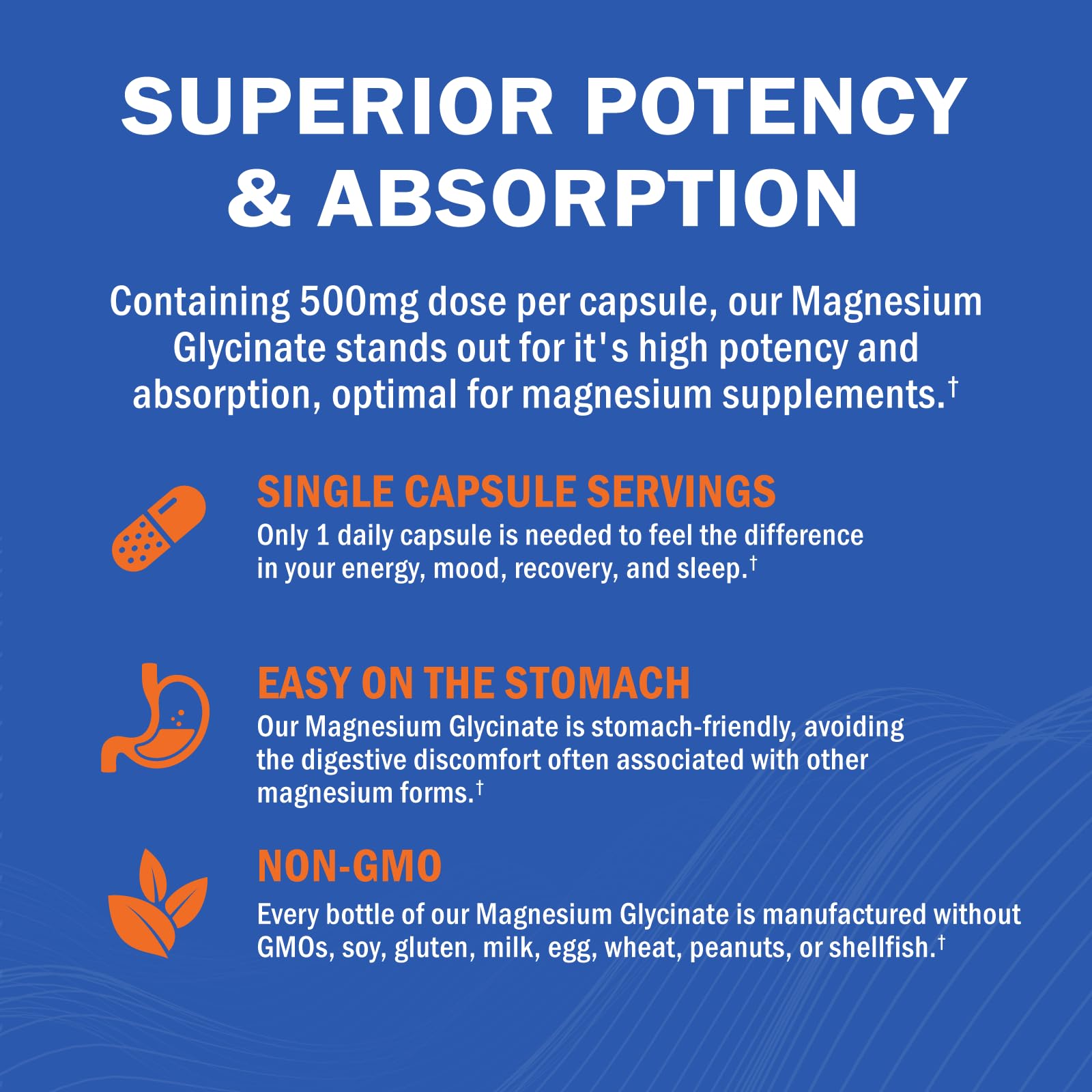 Magnesium Glycinate - High Absorption Magnesium Supplement 500mg Per Serving for Stress Relief, Sleep, Heart and Bone Health, Nerve Support - Non-GMO, Gluten-Free, Gentle on Stomach, 240 Capsules GOODBIO uk supplements