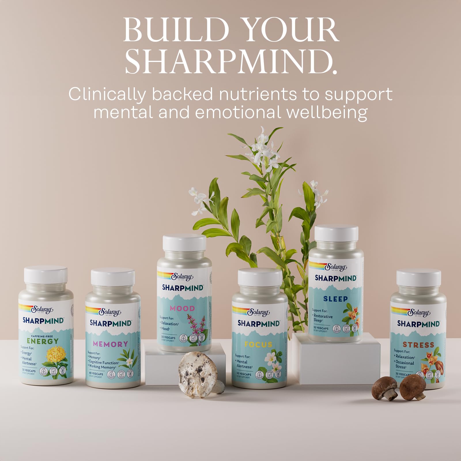 SOLARAY SharpMind Focus, Mental Alertness Nootropic Supplement for Healthy Brain Fog, Cognizin Citicoline, Lions Mane Mushroom, Bacopa Monnieri, 60 Day Money Guarantee, 60 Serv 60 Veg Caps SOLARAY uk supplements