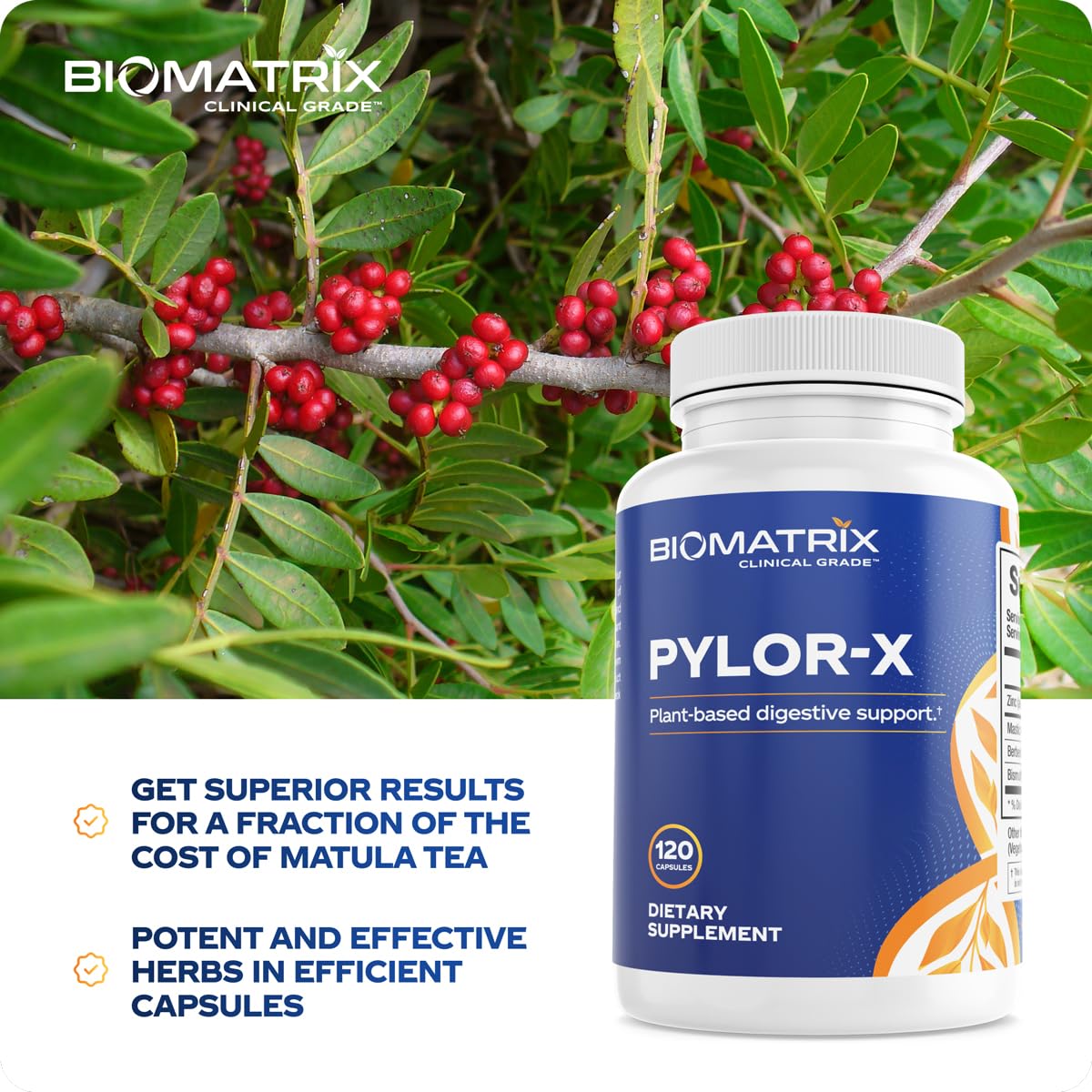 BioMatrix Pylor-X Gut Health Supplement – Mastic Gum, Berberine, Zinc Carnosine & Bismuth Salts for Gastric Support, Digestive Comfort, Stomach Lining Protection - (120 Capsules) 30-60 Day Supply BioMatrix uk supplements