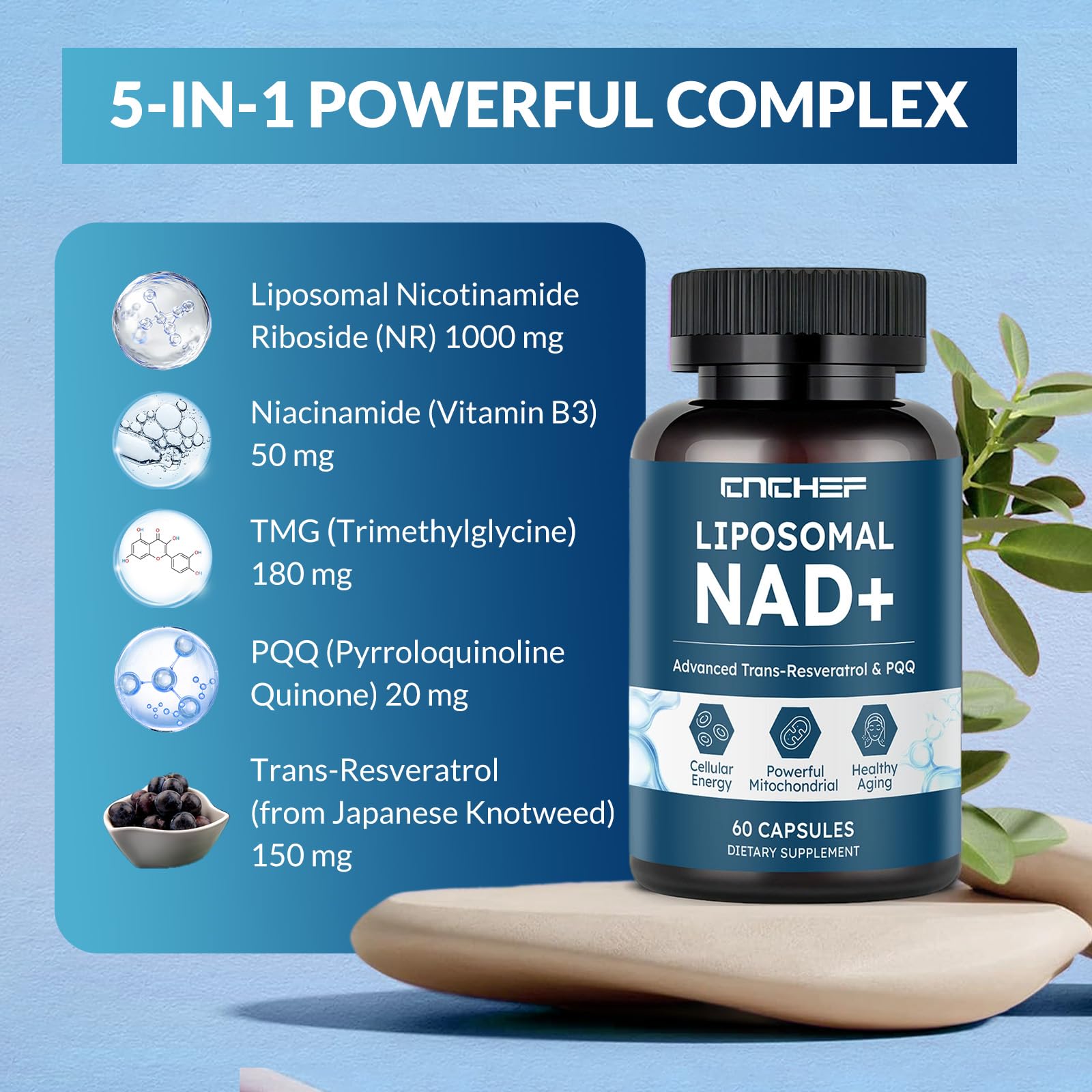 CNCHEF Liposomal NAD Supplement -1000mg, NAD Resveratrol Supplement for Women & Men with Nicotinamide Riboside, Resveratrol, PQQ & TMG, NAD Plus Boosts NAD+ Levels, Anti-Aging & Brain, 60 Capsules CNCHEF uk supplements