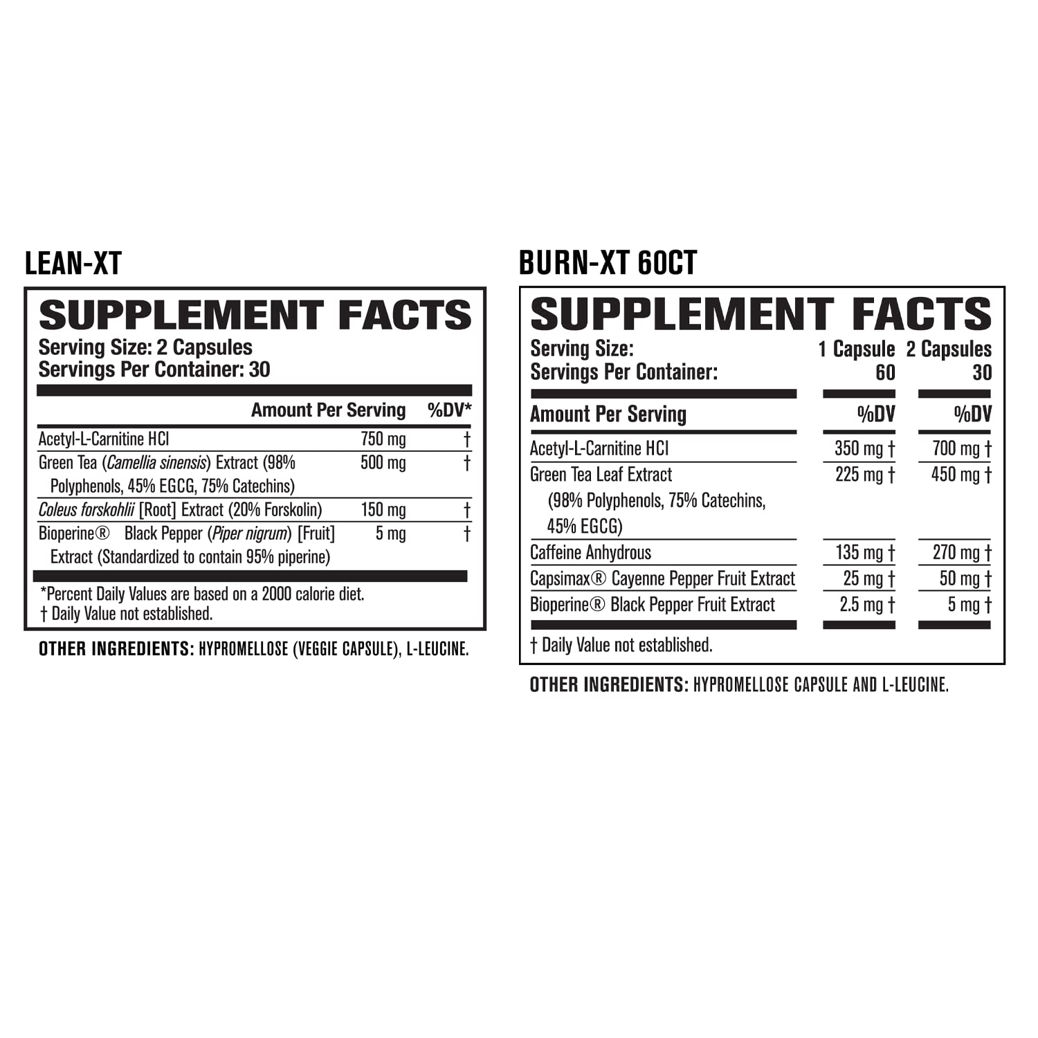 Burn-XT Thermogenic Fat Burner, Lean PM Nighttime Fat Burner & Sleep Aid Jacked Factory uk supplements