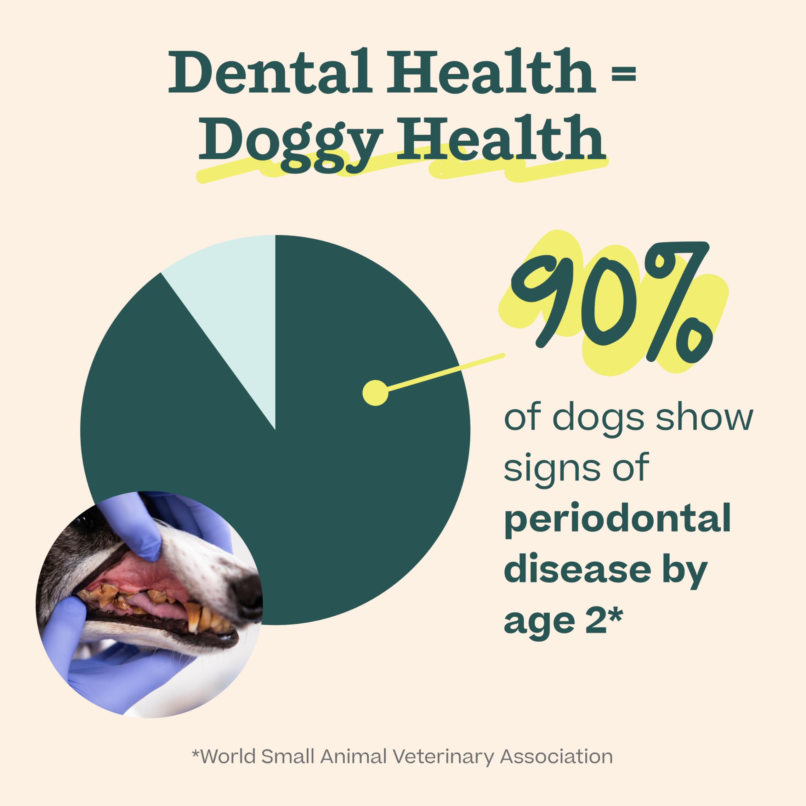 Woof Doggy Dental Pupsicle Mix - Dog Teeth Cleaning Powder for The Pupsicle - Long Lasting Postbiotic Dental Enzyme Mix to Support Oral Health for Dogs WOOF uk supplements