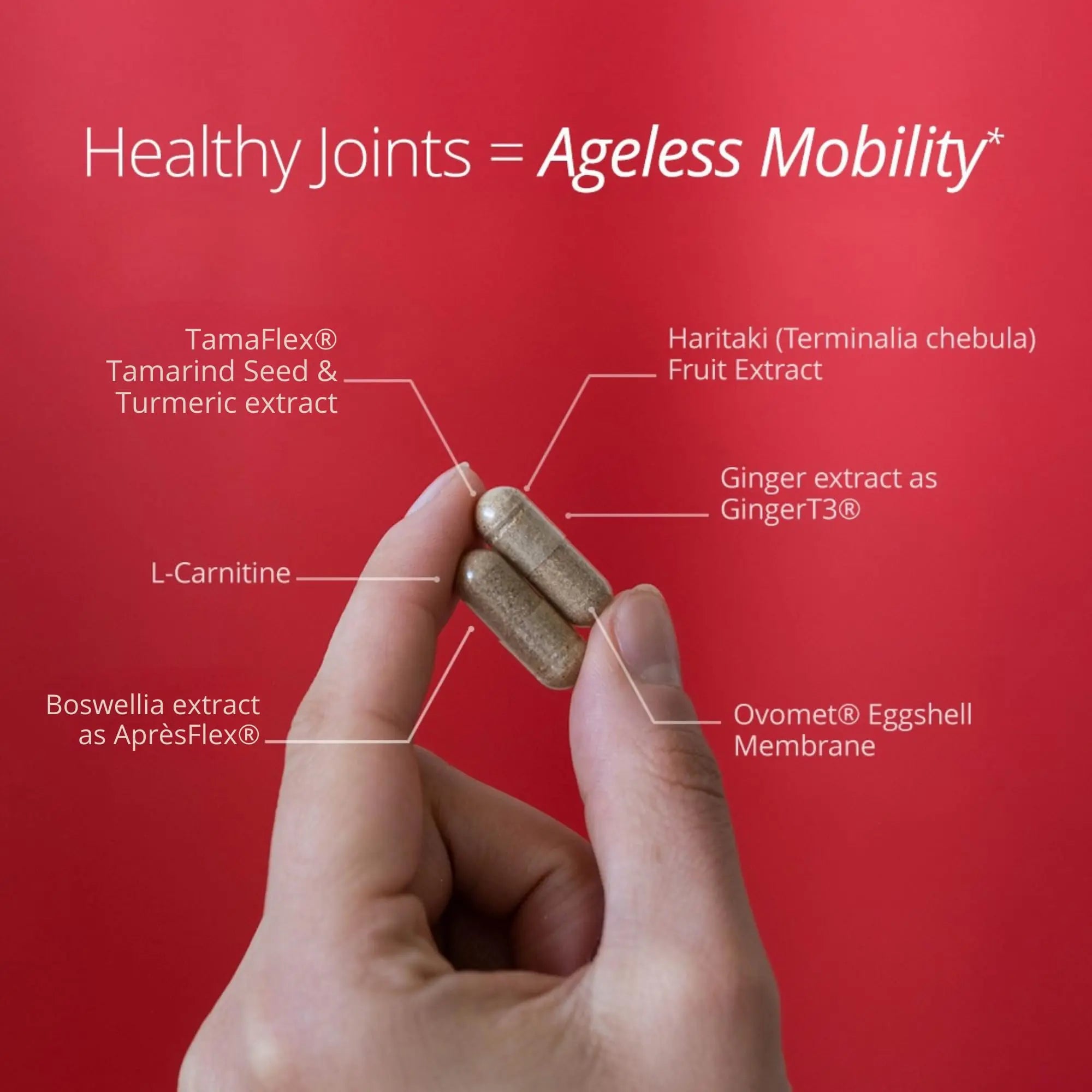 Qualia Joint Health 9 Advanced Joint Health nutrients: denatured Collagen, boswellia, tumeric, Boron, Ginger, L-carnitine. Cartilage Health, Tendon Strength, Healthy Joint Aging (1 Month Supply) QUALIA LIFE SCIENCES uk supplements