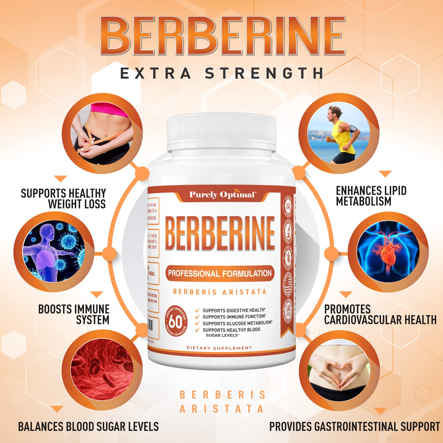 Purely Optimal Premium Berberine Supplement - 1200mg Berberine HCl, Non-GMO Purely Optimal uk supplements