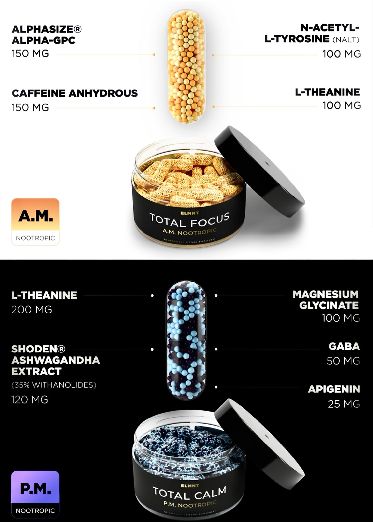 AMPM Nootropic Total Focus + Calm 9X Strength w. Caffeine, L-Theanine, Alpha GPC, L-Tyrosine, Ashwagandha - X-Release Energy Pills Nootropics Brain Support Supplements for Memory and Focus Supplement TERRA ELMNT uk supplements