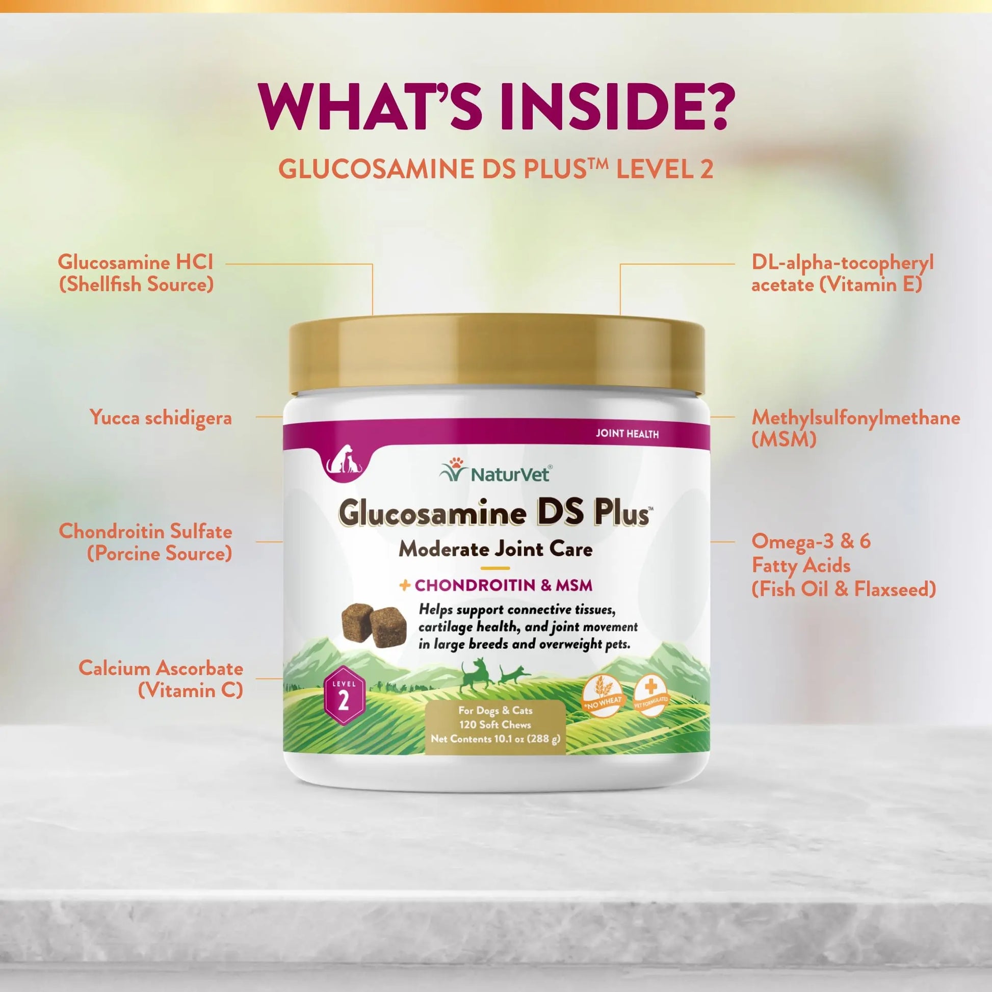 NaturVet – Glucosamine DS Plus - Level 2 Moderate Care – Supports Healthy Hip & Joint Function – Enhanced with Glucosamine, MSM & Chondroitin – for Dogs & Cats–120 Soft Chews NaturVet uk supplements