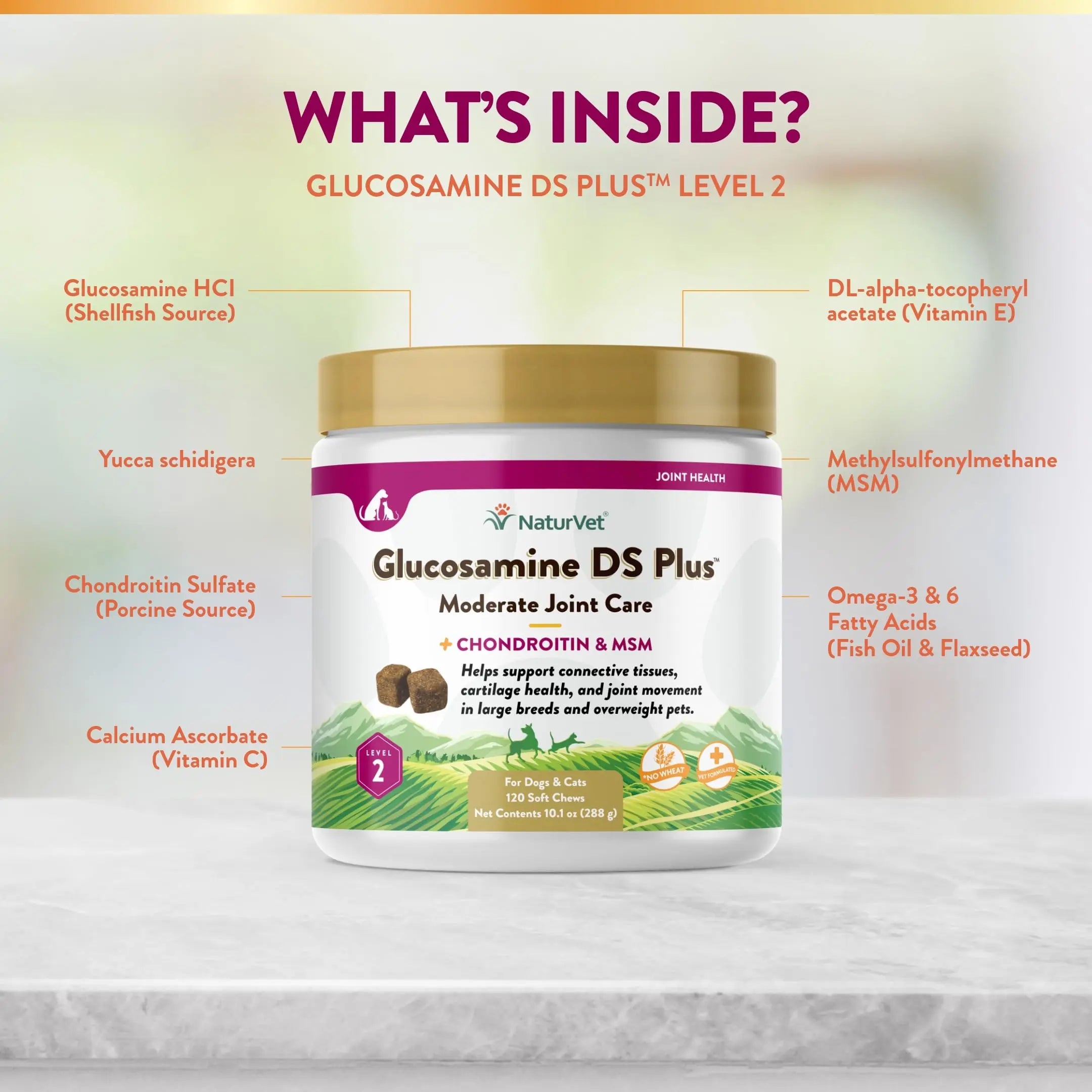 NaturVet – Glucosamine DS Plus - Level 2 Moderate Care – Supports Healthy Hip & Joint Function – Enhanced with Glucosamine, MSM & Chondroitin – for Dogs & Cats–120 Soft Chews NaturVet uk supplements