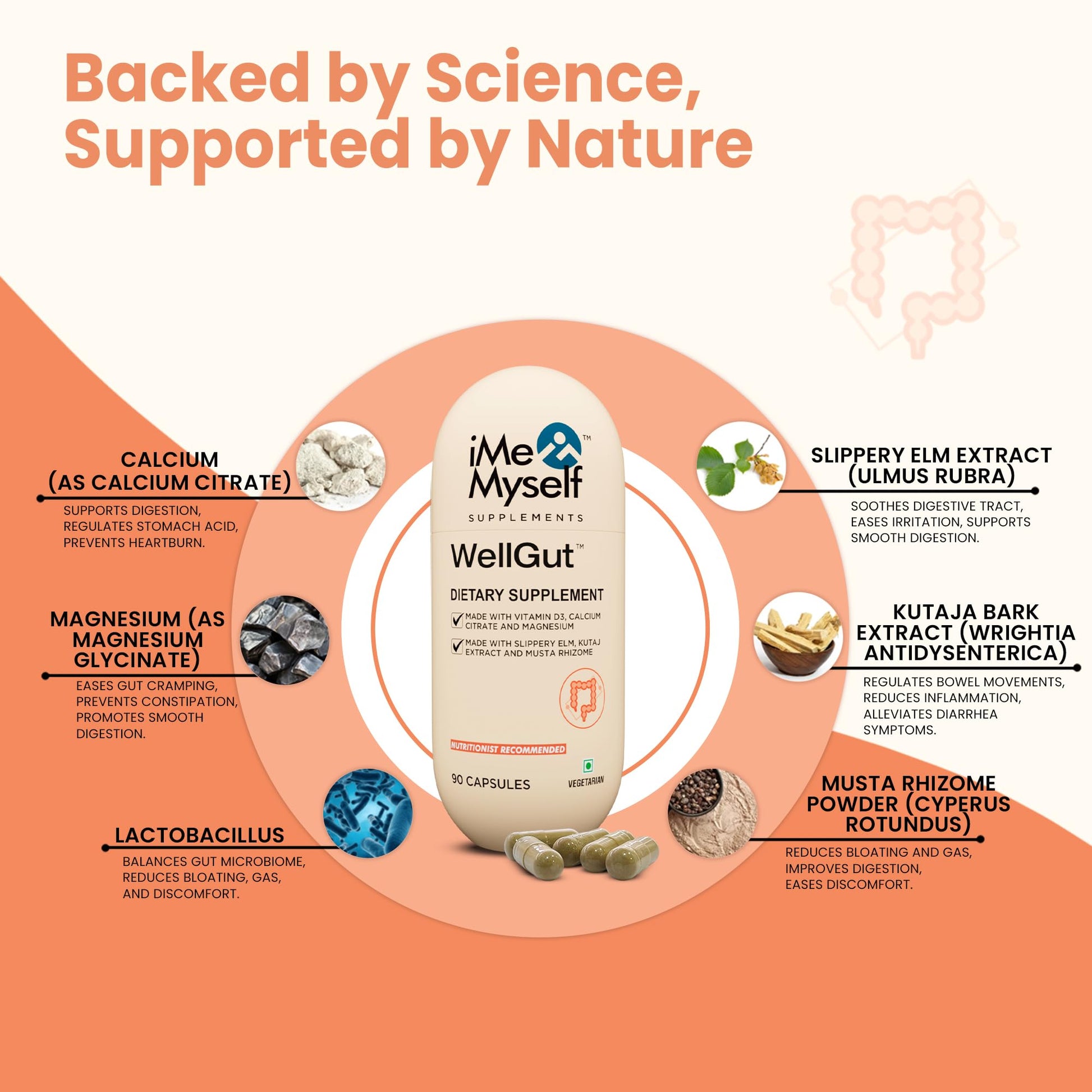 iMeMyself WellGut Daily Herbal Supplement | Traditional Herbs with Minerals & Probiotics 90 Vegan Capsules iMeMyself uk supplements