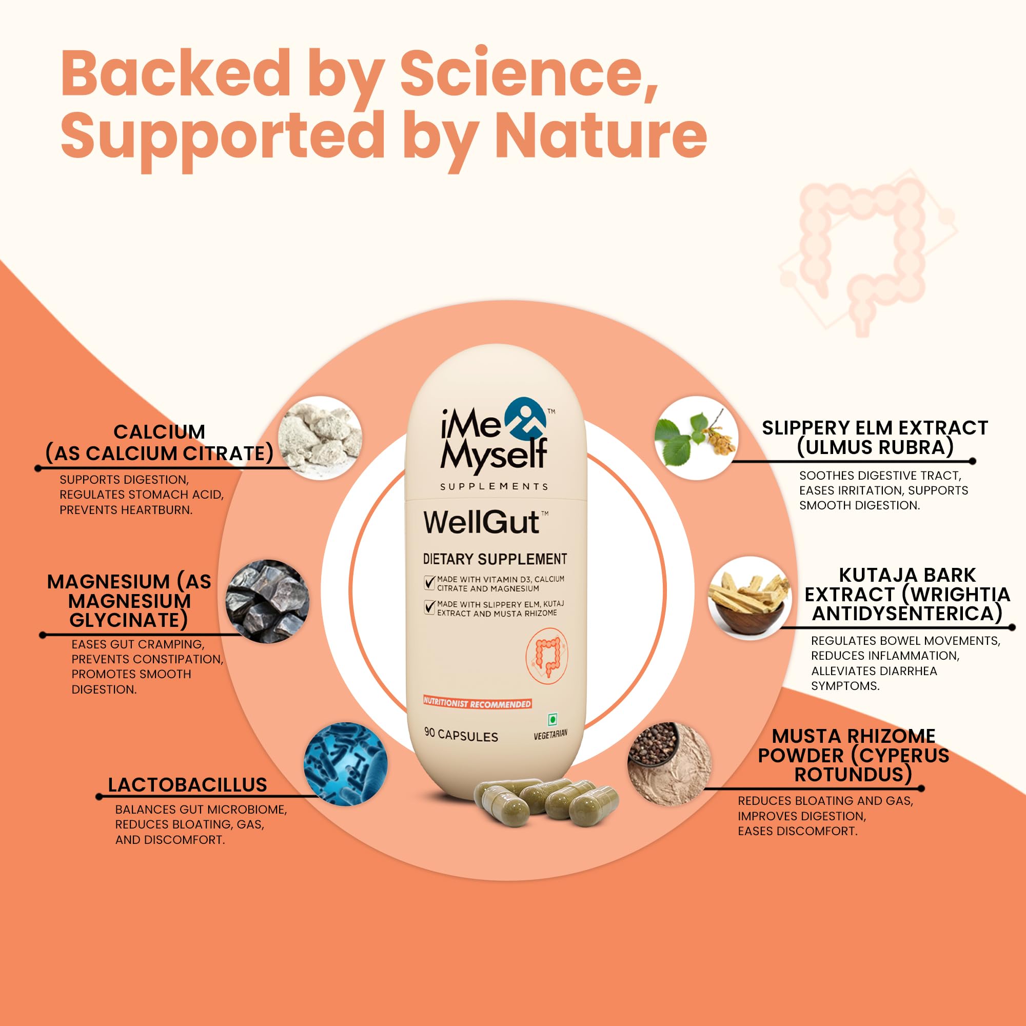 iMeMyself WellGut Daily Herbal Supplement | Traditional Herbs with Minerals & Probiotics 90 Vegan Capsules iMeMyself uk supplements