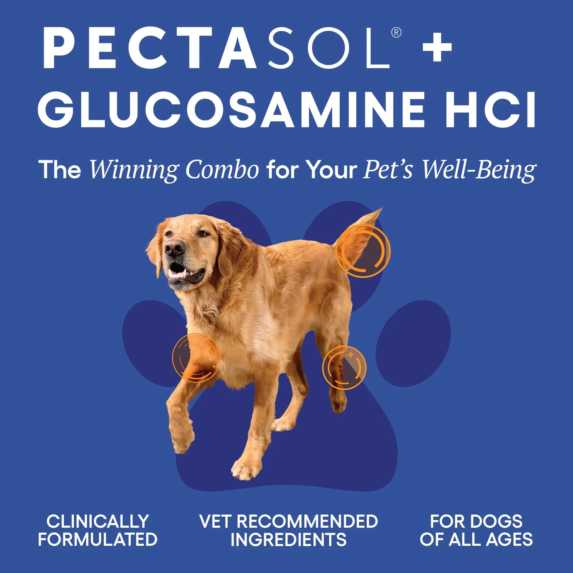 ecoNugenics PectaPaws Chewable Dog Supplements – Beef Flavor, 90 Count – PectaSol Modified Citrus Pectin + Glucosamine HCI for Dogs of All Ages, Supports Mobility, Joints, Immune Function, Pain Relief EcoNugenics uk supplements