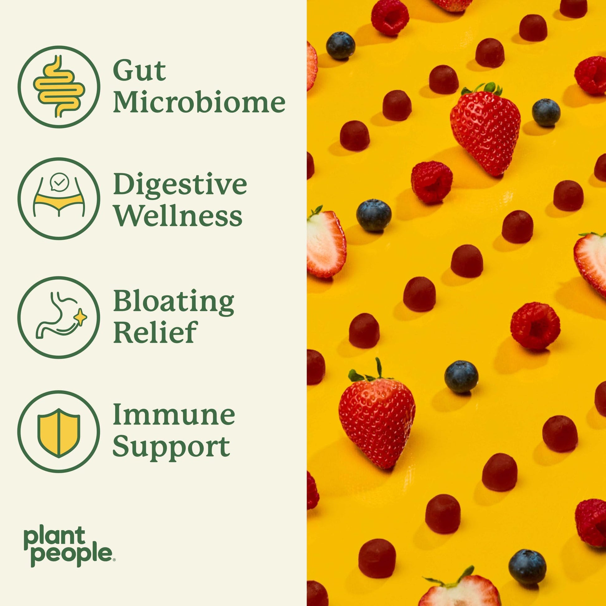 Plant People WonderBiome 2-in-1 Prebiotic + Probiotic Gummies – Zero-Sugar Vegan Digestive Health & Bloating Relief – 5 Billion CFU Bacillus Subtilis DE111 + Artichoke & Chicory – 60 Count Plant People uk supplements