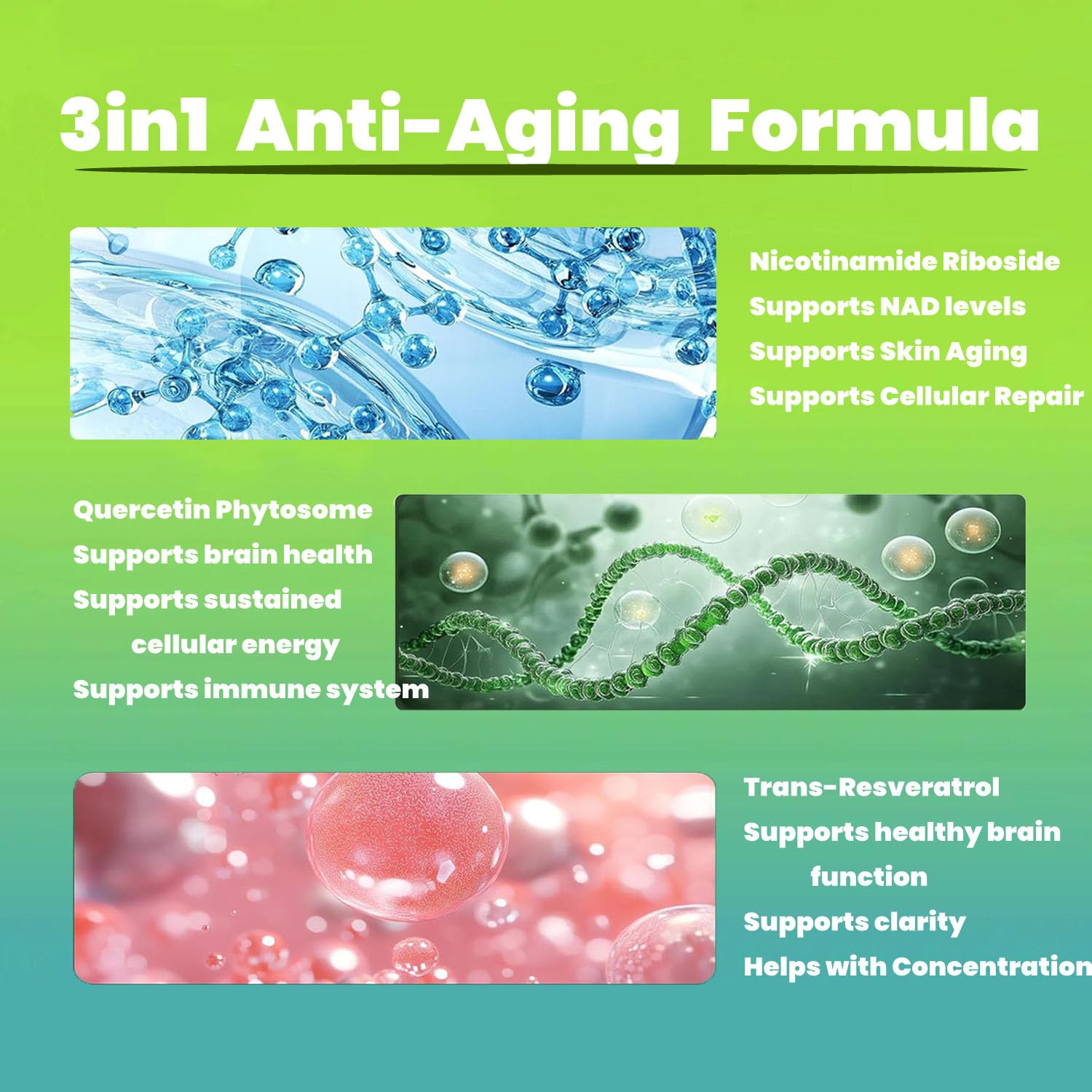 Renyqatt NAD+ Supplement - Liposomal Nicotinamide Riboside - Supplement for Anti-Aging, Energy, Focus - 80 Capsules（1B） Renyqatt uk supplements