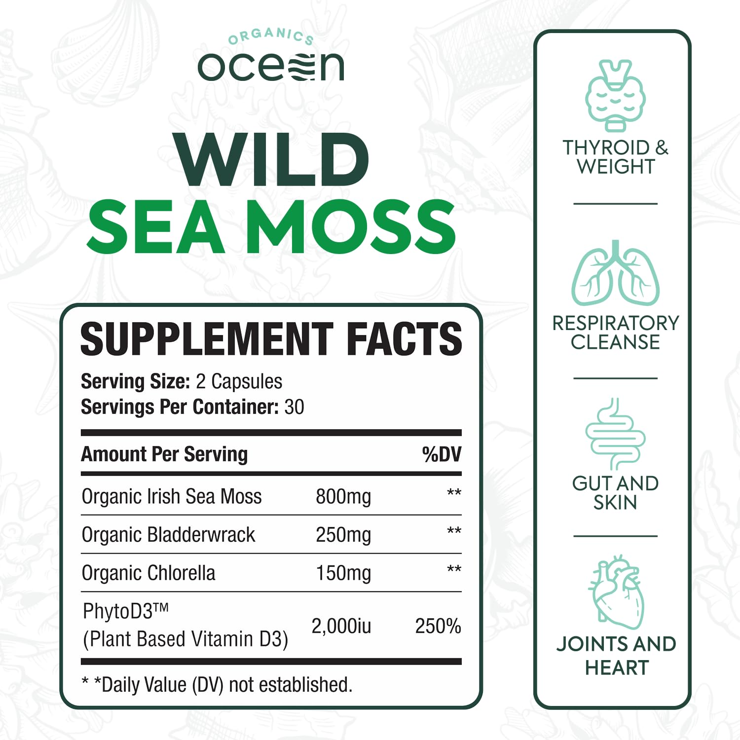 Organics Ocean Wild Sea Moss Capsules - 100% Organic Irish Sea Moss with Organic Chlorella, Bladderwrack and Vitamin D for Energy, Lung Health and Thyroid Support for Women and Men - 60 Capsules Organics Ocean uk supplements