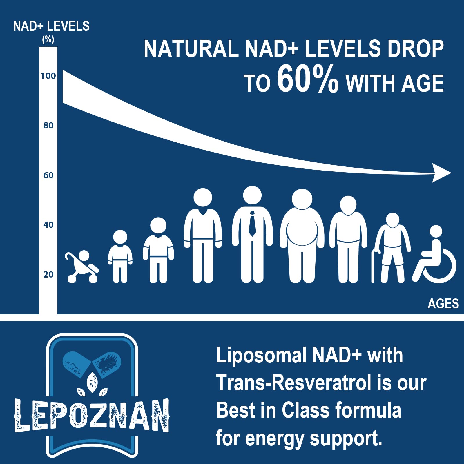 Lepoznan Liposomal NAD+ 500 mg + Trans-Resveratrol 300 mg, Superior Absorption True NAD Supplement Efficient for Cellular Energy Metabolism & DNA Repair, 60 Softgels Lepoznan uk supplements