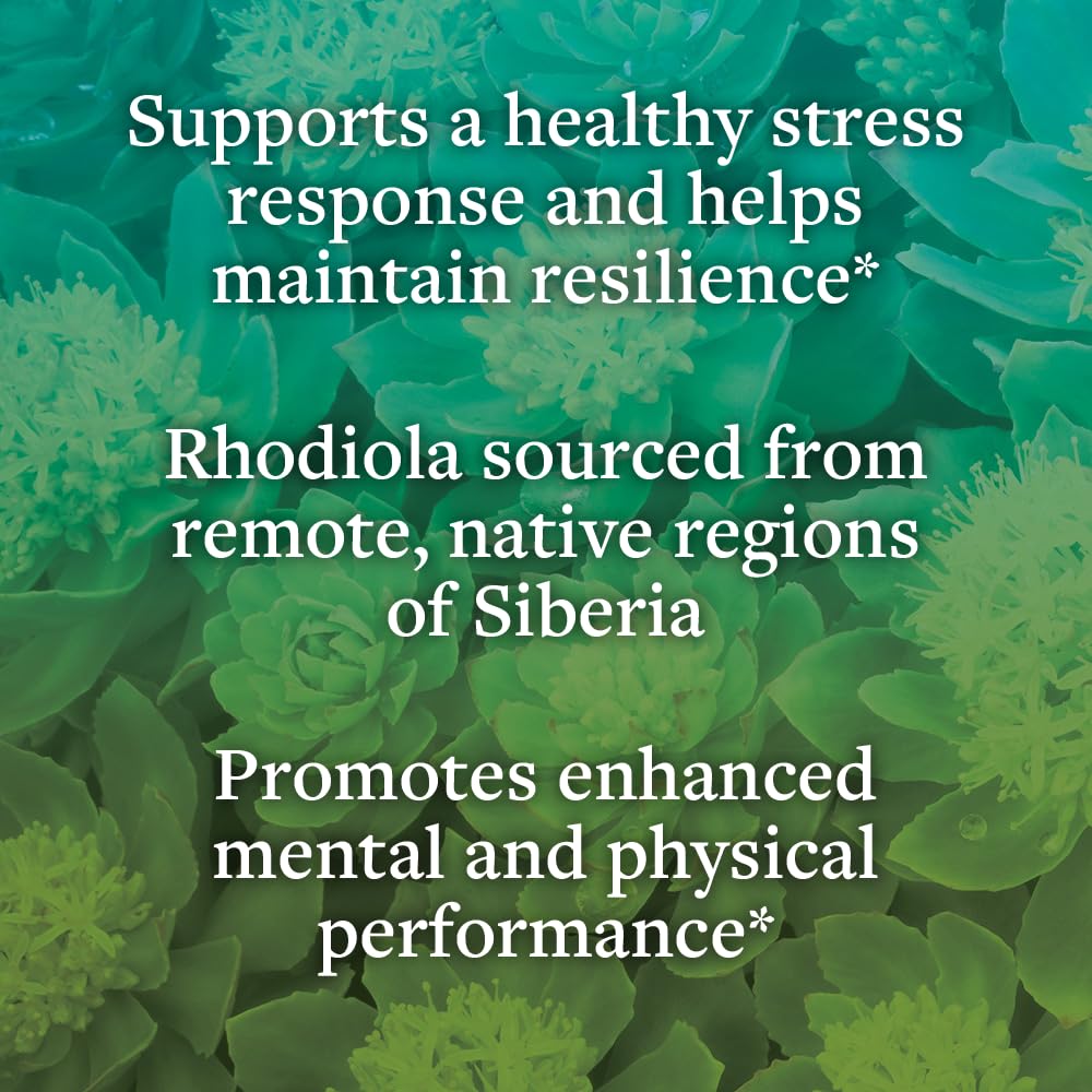 kokora Extra Strength Rhodiola Rosea – Stress Relief, Endurance & Promotes Mental & Physical Performance* - with Siberian Rhodiola, Rosavins, Organic Holy Basil - Vegan, Non-GMO - 60 Capsules kokora uk supplements