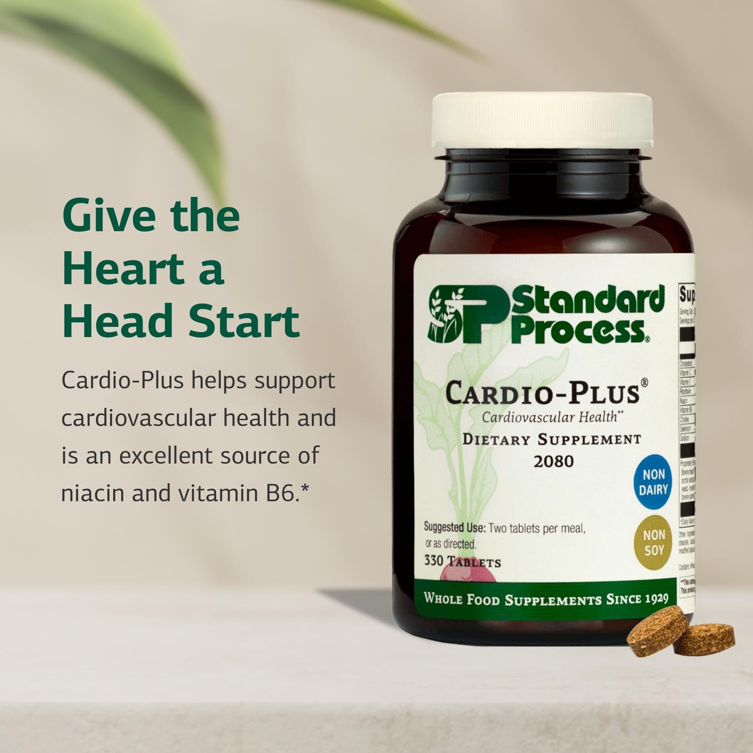 Standard Process Inc. Cardio-Plus - Antioxidant Support - Heart Health, Circulation & Blood Flow Supplement with Vitamin B6, Niacin & Riboflavin - Energy Metabolism Supplement - 330 Tablets Standard Process Inc. uk supplements