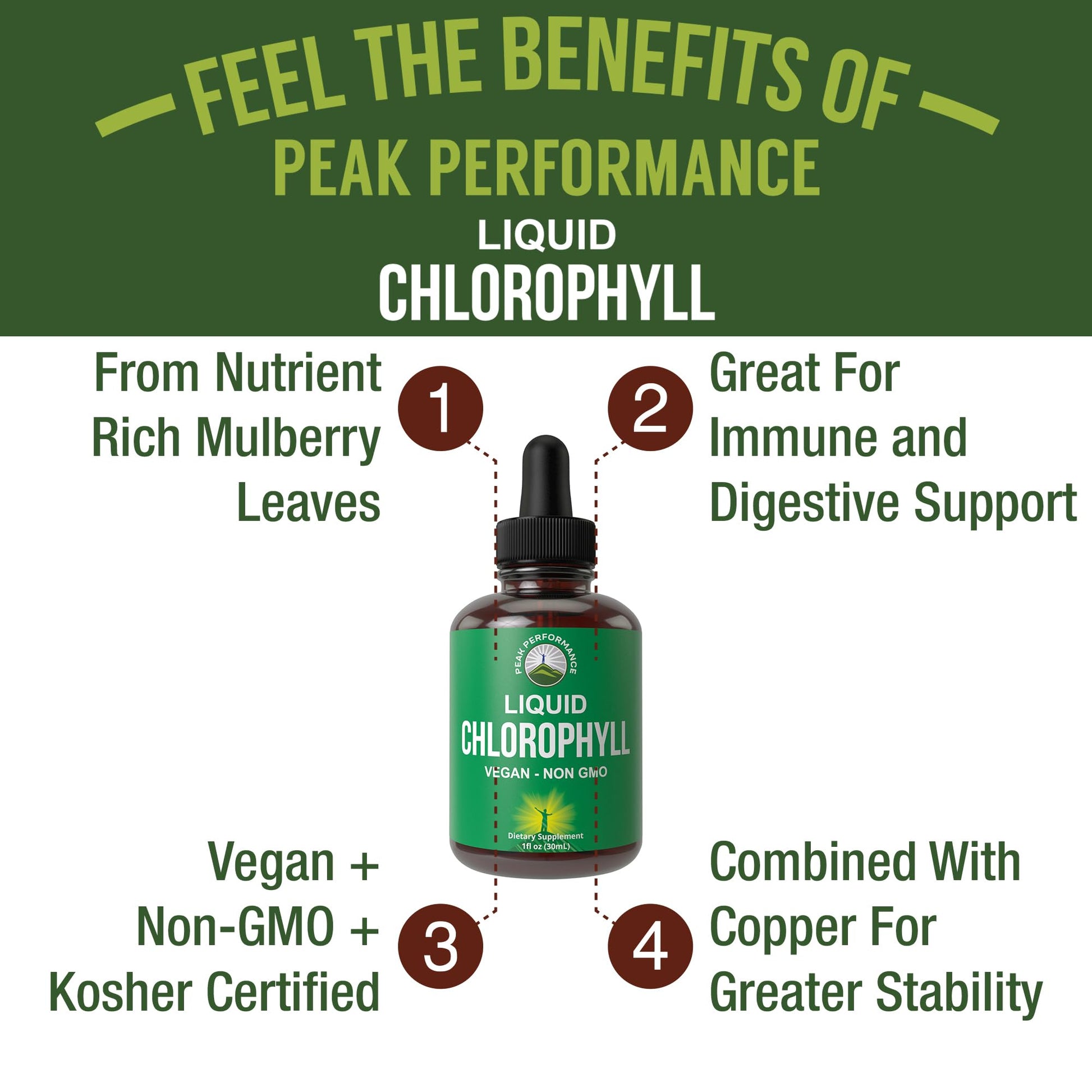 Chlorophyll Liquid Drops - Ultra High Purity, Alcohol Free, Non-GMO, Gluten Free Liquid Chlorophyll Drops Supplement. Take with Water. Internal Deodorant + Skin Care, Immune, and Digestive Support Peak Performance uk supplements