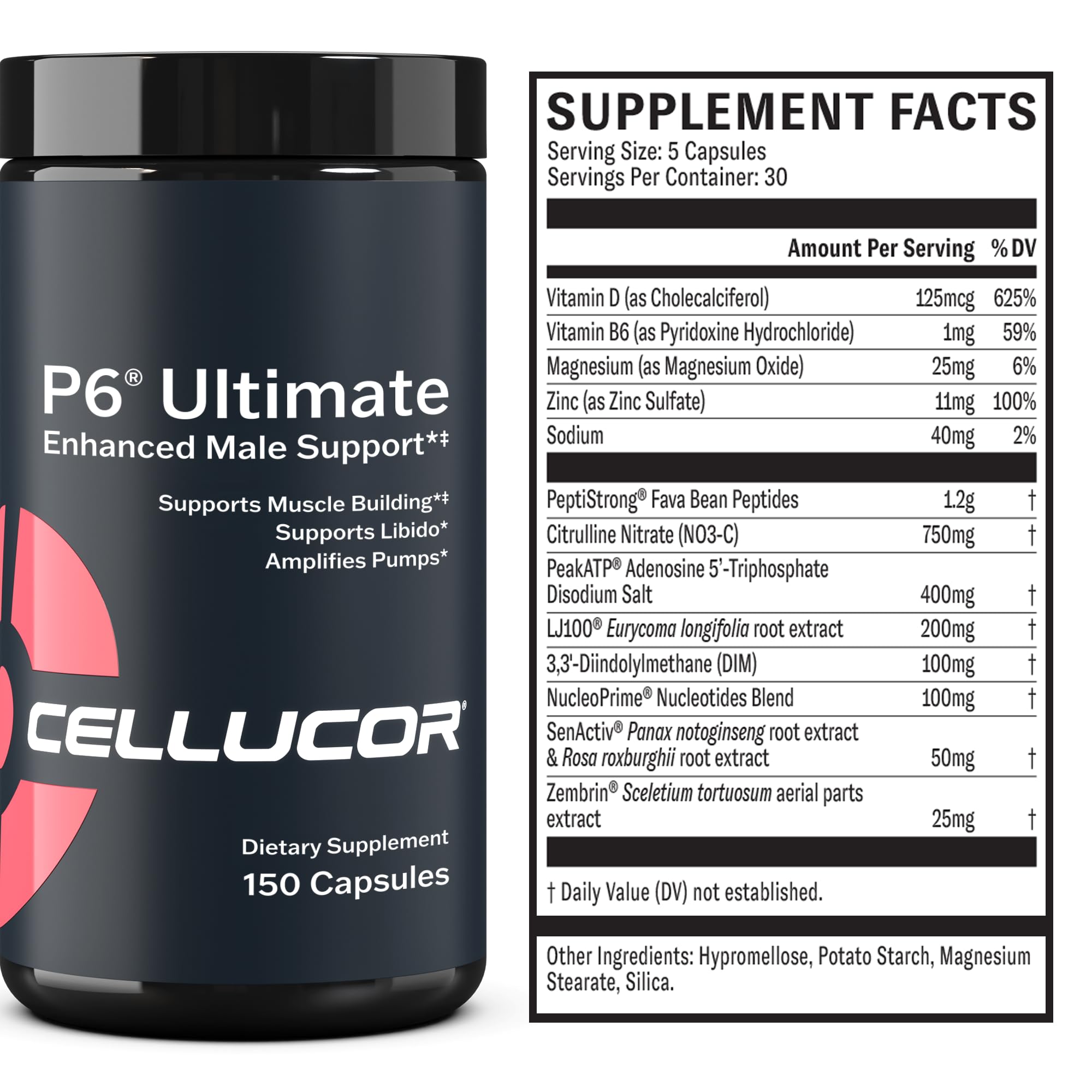 Cellucor P6 Ultimate - Enhanced Support for Men | Supports Muscle Growth & Strength Cellucor uk supplements