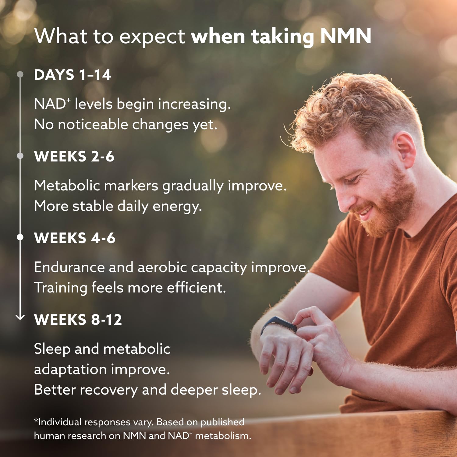PUROVITALIS Liposomal NMN, 250mg Longevir Nicotinamide Mononucleotide Supplement, NAD+ Boost for Cellular Health, Energy & Healthy Aging, 1-Month Supply (60 Vegan Capsules) PUROVITALIS uk supplements