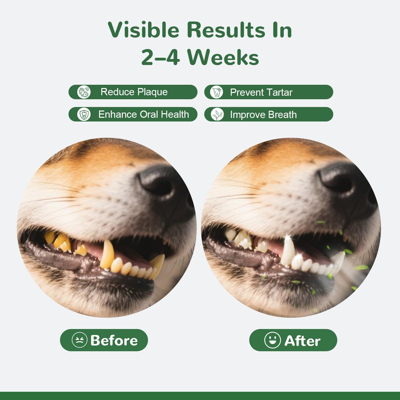 Vetriuntrix Dog Teeth Cleaning Powder, Dental Powder for Dogs Teeth Tartar Remove & Plaque Off, Fresh Breath for Dogs with Natural Plants Blend, Enzymes and Postbiotics, 80g Vetriuntrix uk supplements