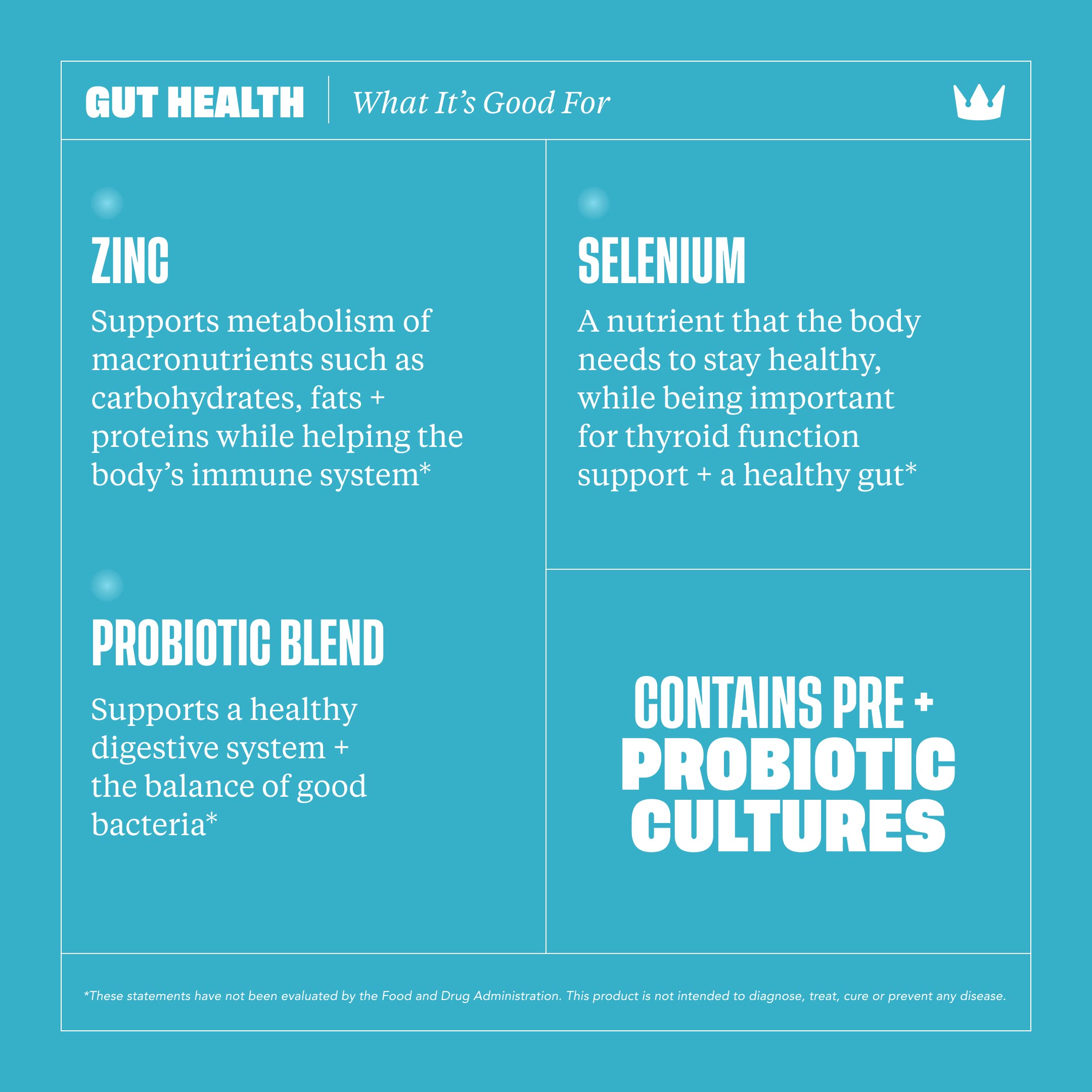Health By Habit Gut Health Supplement (60 Capsules) - Contains 1.5 Billion probiotic Health By Habit uk supplements