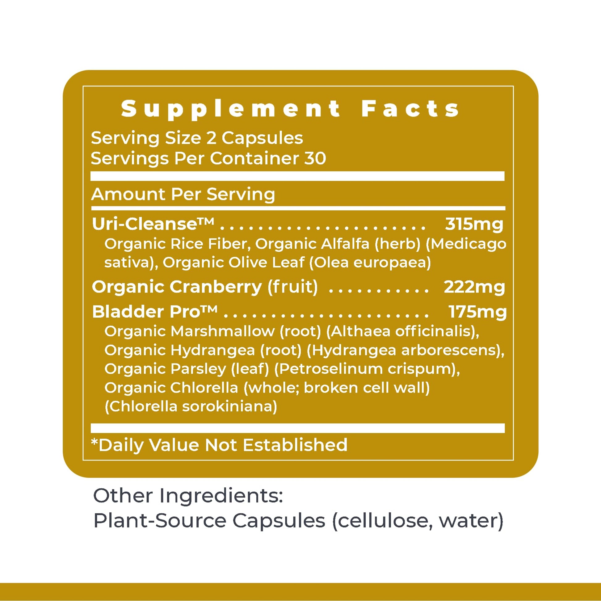 Premier Research Labs UriVen - Bladder Health Support for Women & Men, Cranberry Extract & Marshmallow Root, Urinary Relief, Bladder Relief, Bladder Control Supplement - 60 Vegetarian Capsules Premier Research Labs uk supplements