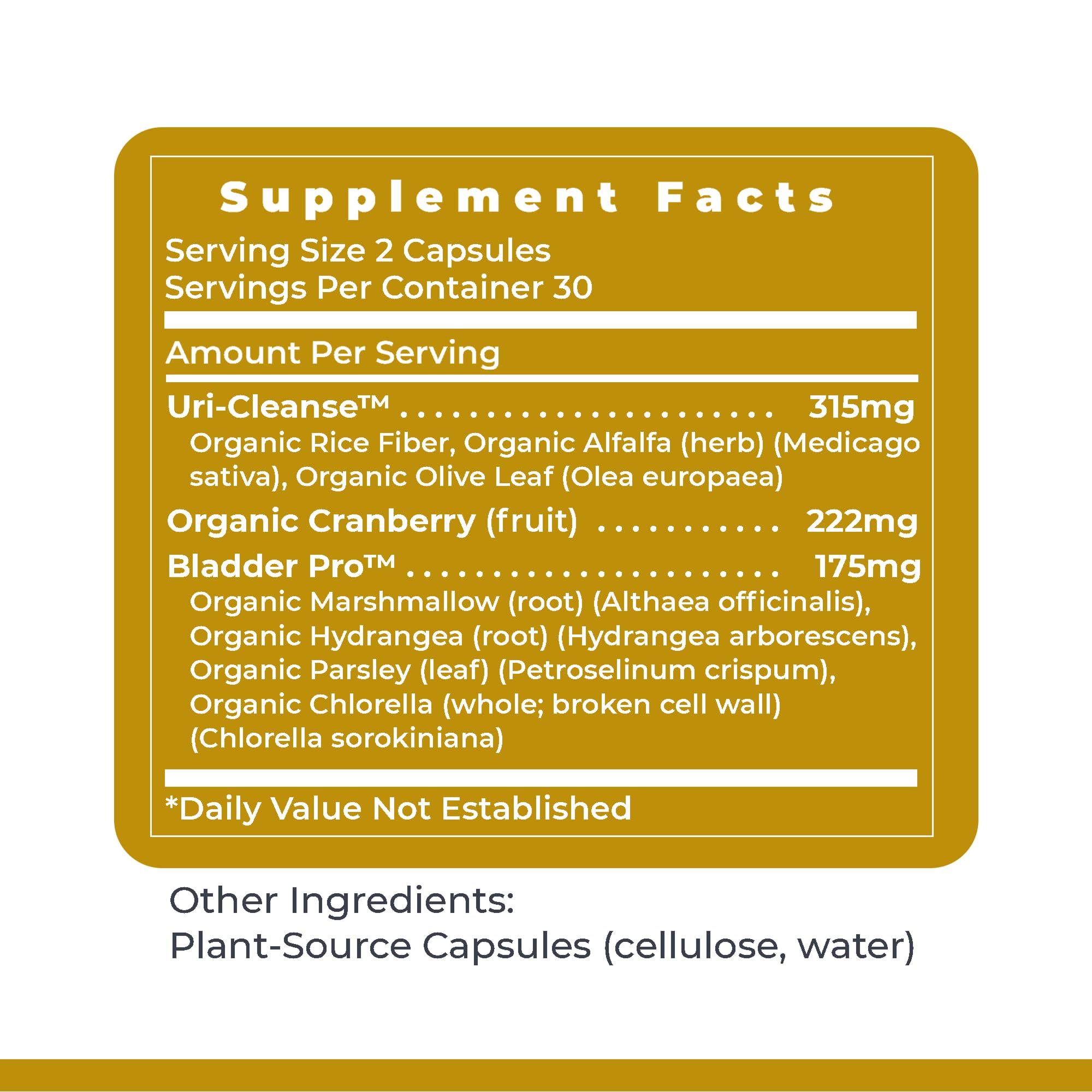 Premier Research Labs UriVen - Bladder Health Support for Women & Men, Cranberry Extract & Marshmallow Root, Urinary Relief, Bladder Relief, Bladder Control Supplement - 60 Vegetarian Capsules Premier Research Labs uk supplements