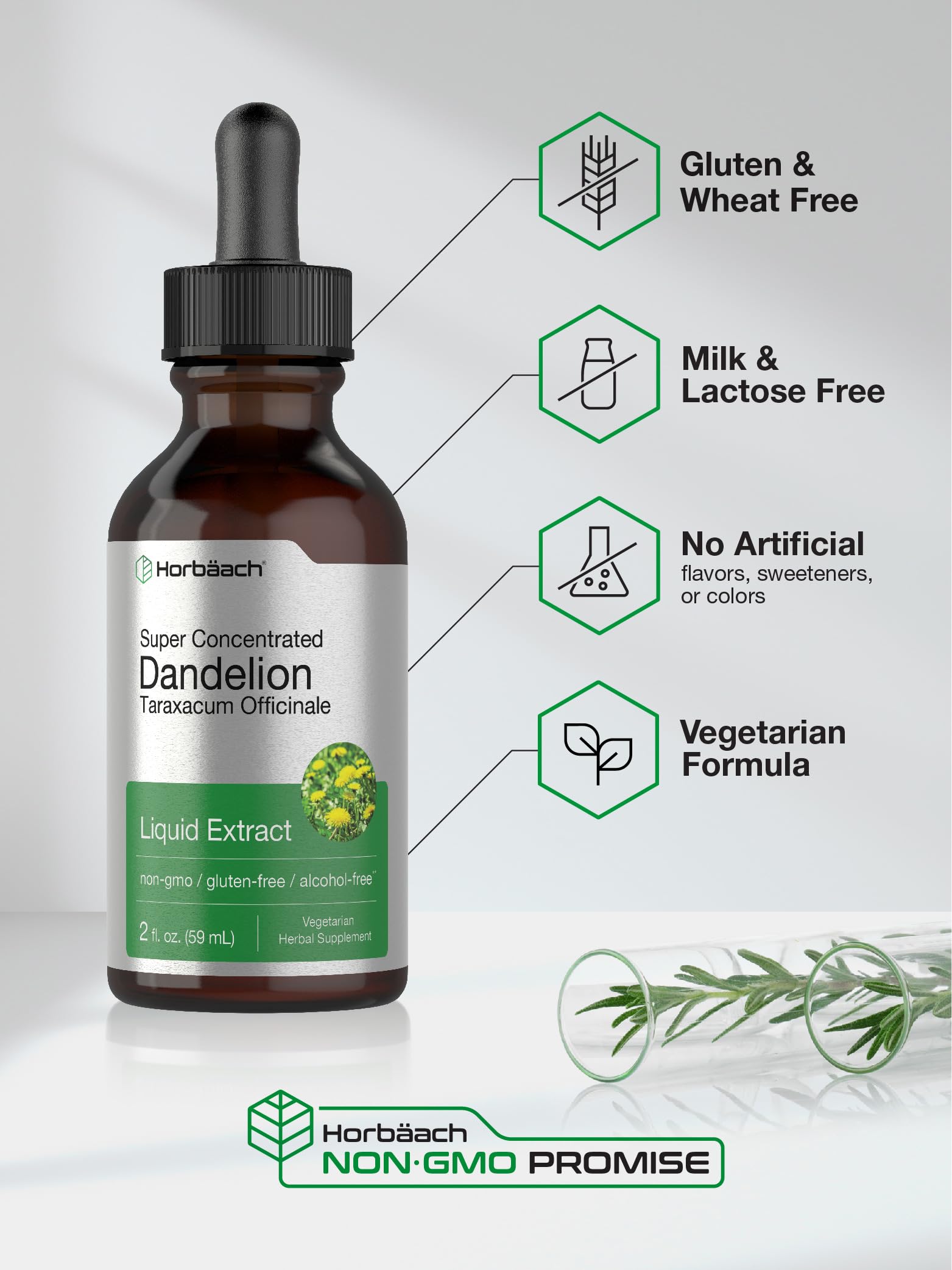 Dandelion Root Extract | 2 fl oz | Super Concentrated | Alcohol Free Liquid Tincture Horbäach uk supplements