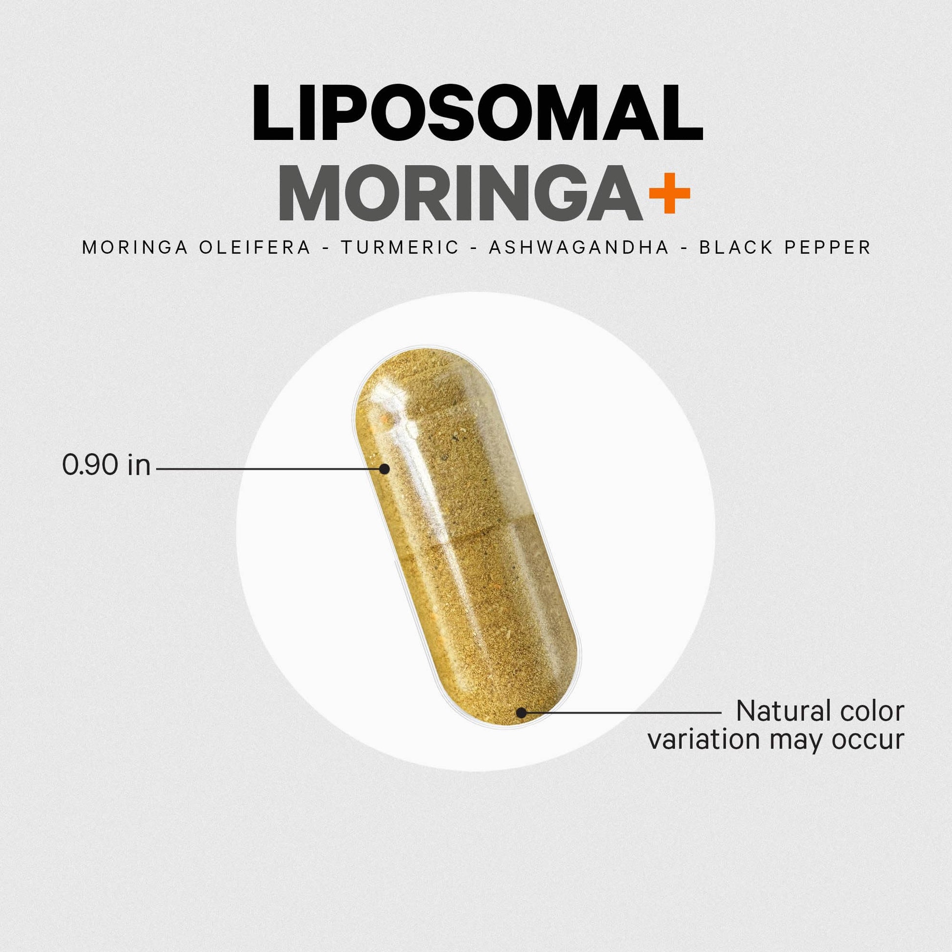 Codeage Liposomal Moringa+ Supplement, 400mg Moringa 50:1 Extract - Turmeric, Ashwagandha, Black Pepper, 3-Month Supply, Vegan Moringa Powder - 180 Capsules Codeage uk supplements