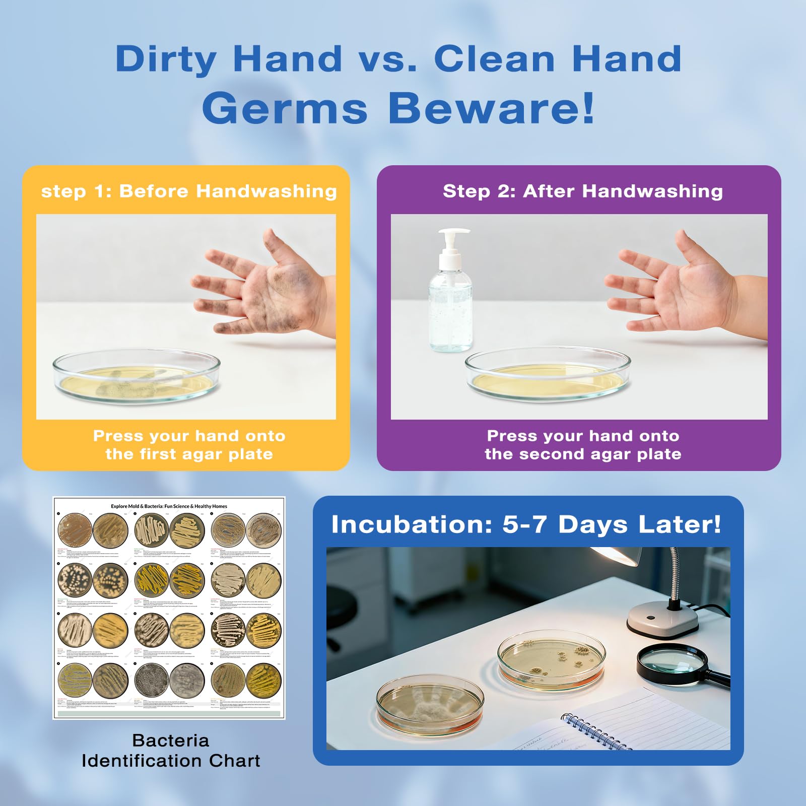 Giant Microbiology Bacteria Science Kit for Kids:2 XL 150mm Prepoured Nutrient Agar Plates, Petri Dishes with Agar & Colony Characteristics Poster for School Projects & Educational Gifts Mosynex uk supplements