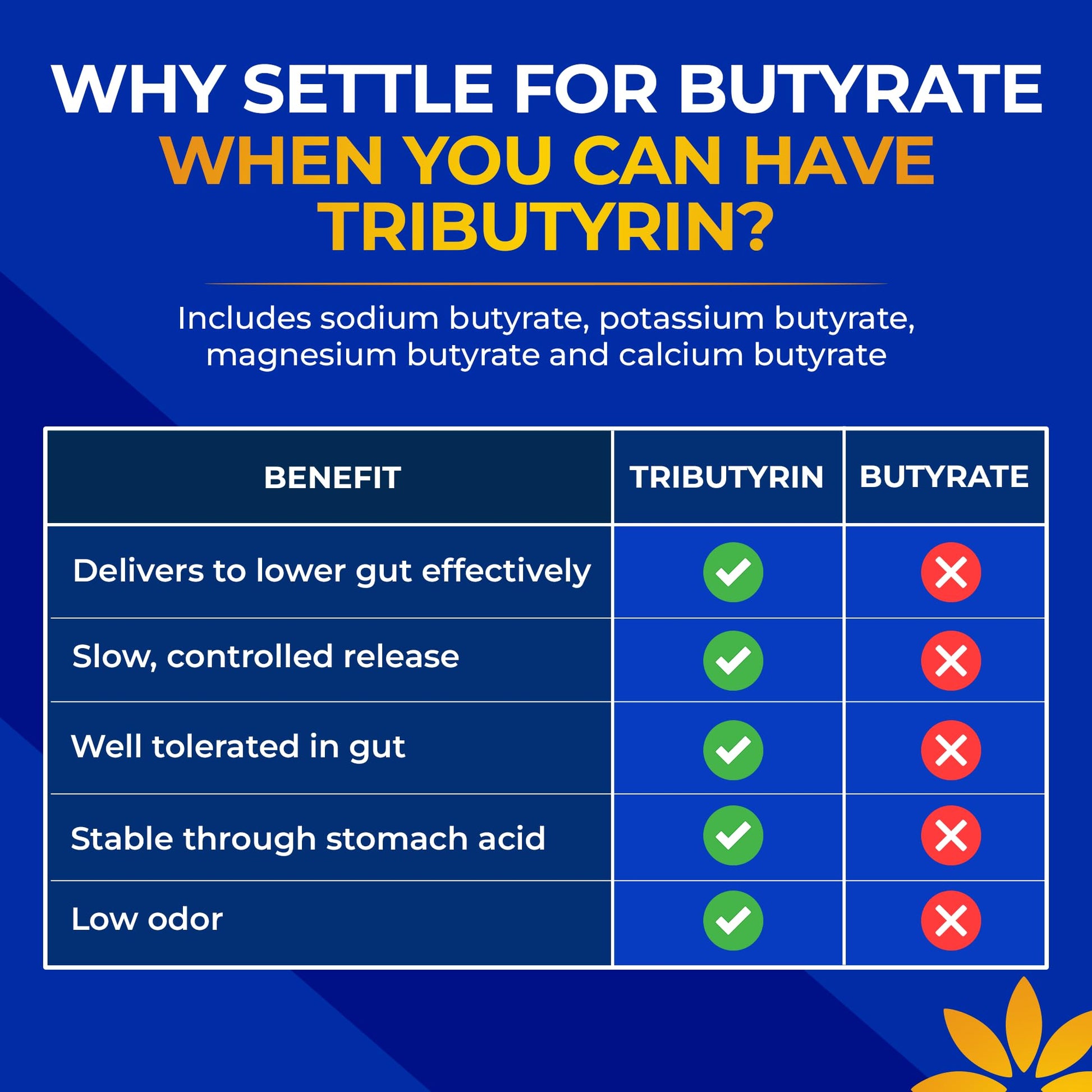 Tributyrin Supplement - Better Delivery & More Effective than Sodium Butyrate - Gut Health & Digestive Support - 3-in-1 Butyrate Postbiotics for Leaky Gut & Gut Barrier Support - 30 Capsules Vita Bloom Labs uk supplements