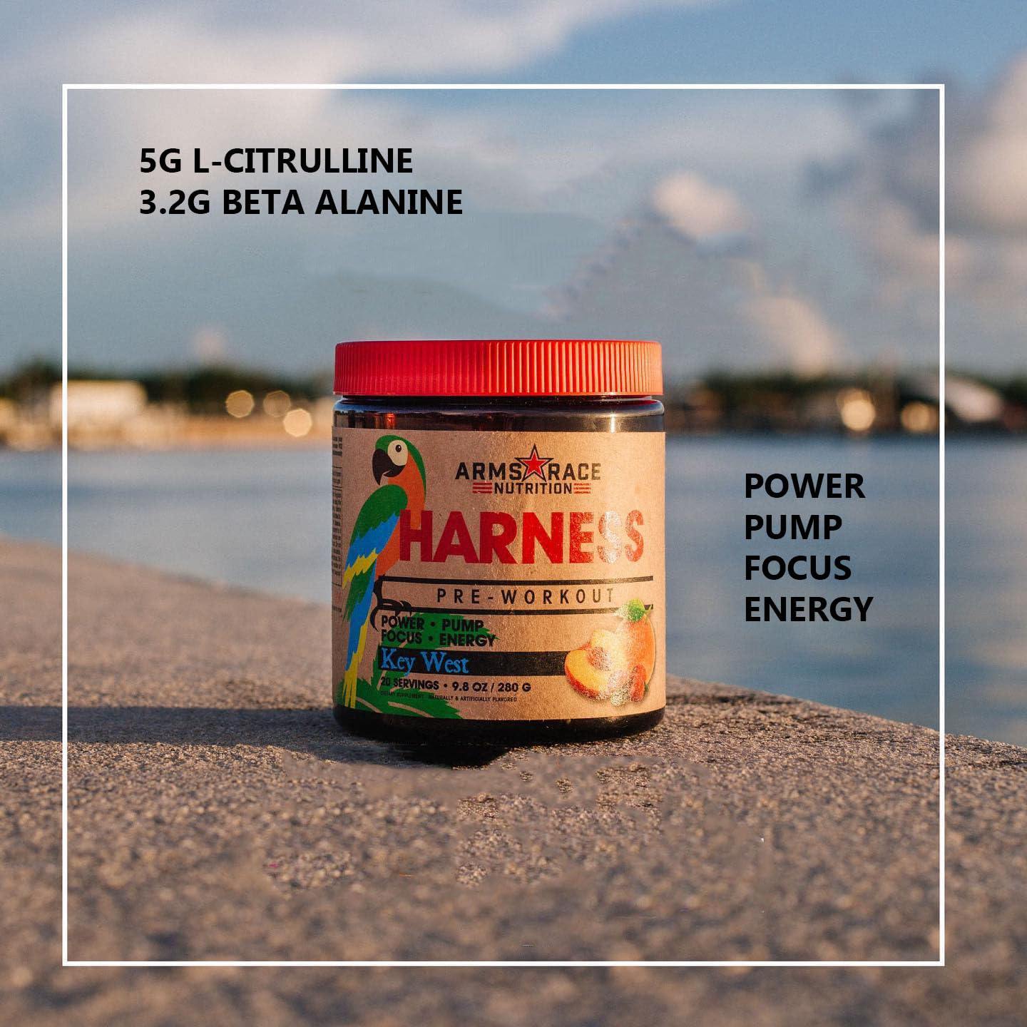 Arms Race Nutrition Harness Pre-Workout, 20 Servings (Big Sky) Arms Race Nutrition uk supplements