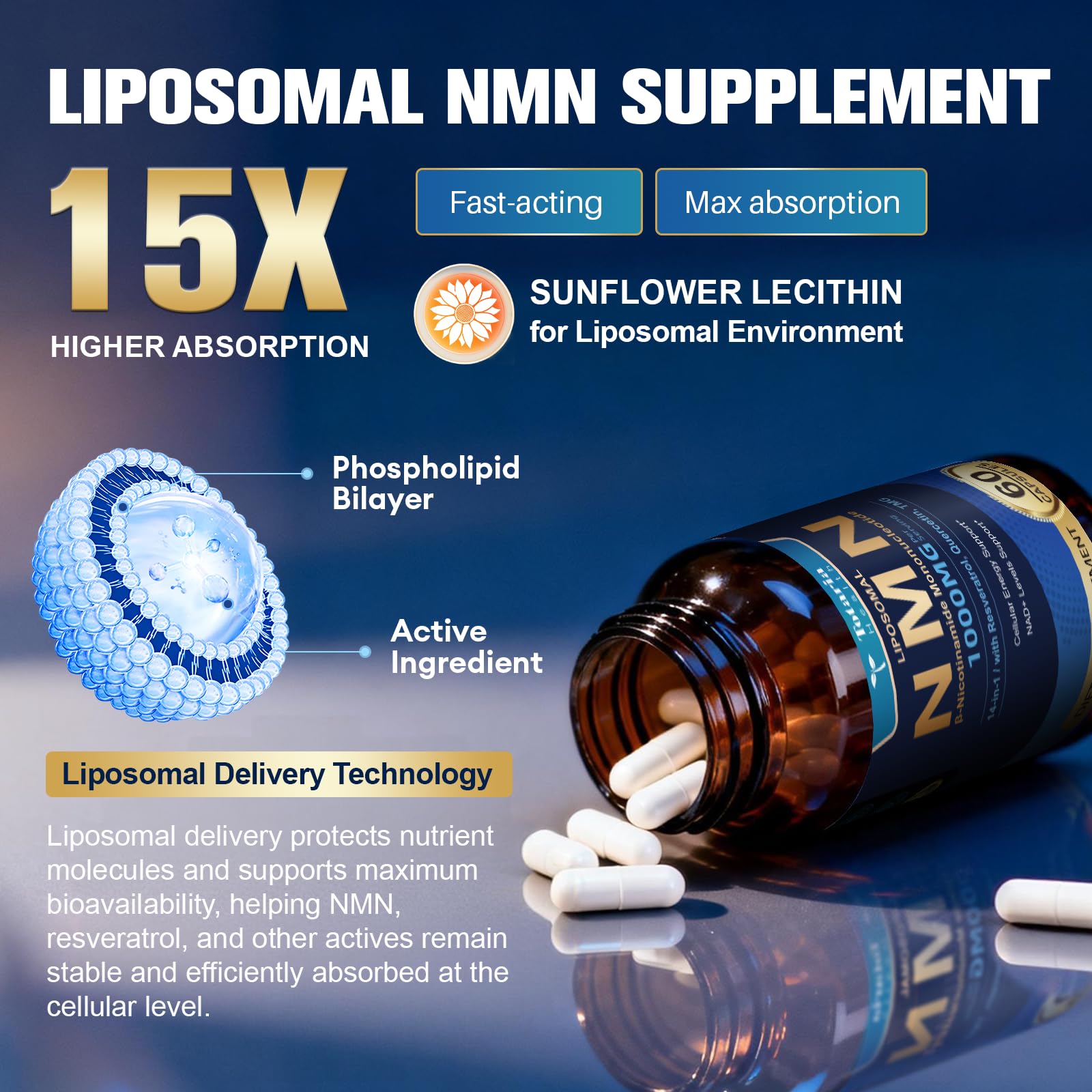 Totaria Liposomal NMN Supplement 1000mg, 14-in-1 NMN Resveratrol Complex with CoQ10, TMG, Quercetin, ALA, PQQ, Support NAD Levels, Cellular Energy & Healthy Aging, 60 Capsules, cGMP, Filler Free Totaria uk supplements
