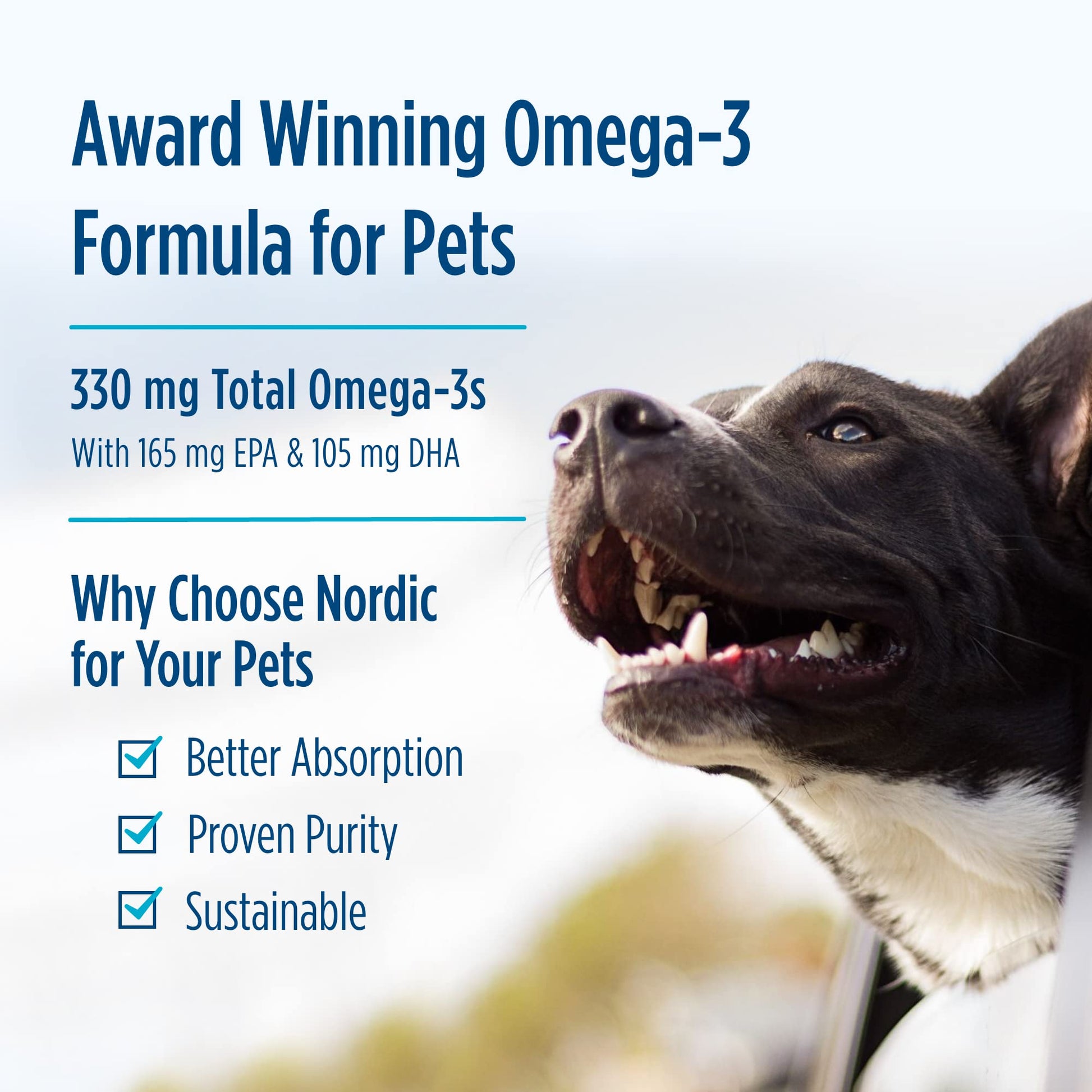 Nordic Naturals Omega-3 Pet, Unflavored - 180 Soft Gels - 320 mg Omega-3 Per Soft Gel - Fish Oil for Dogs with EPA & DHA - Promotes Heart, Skin, Coat, & Immune Health Nordic Naturals uk supplements