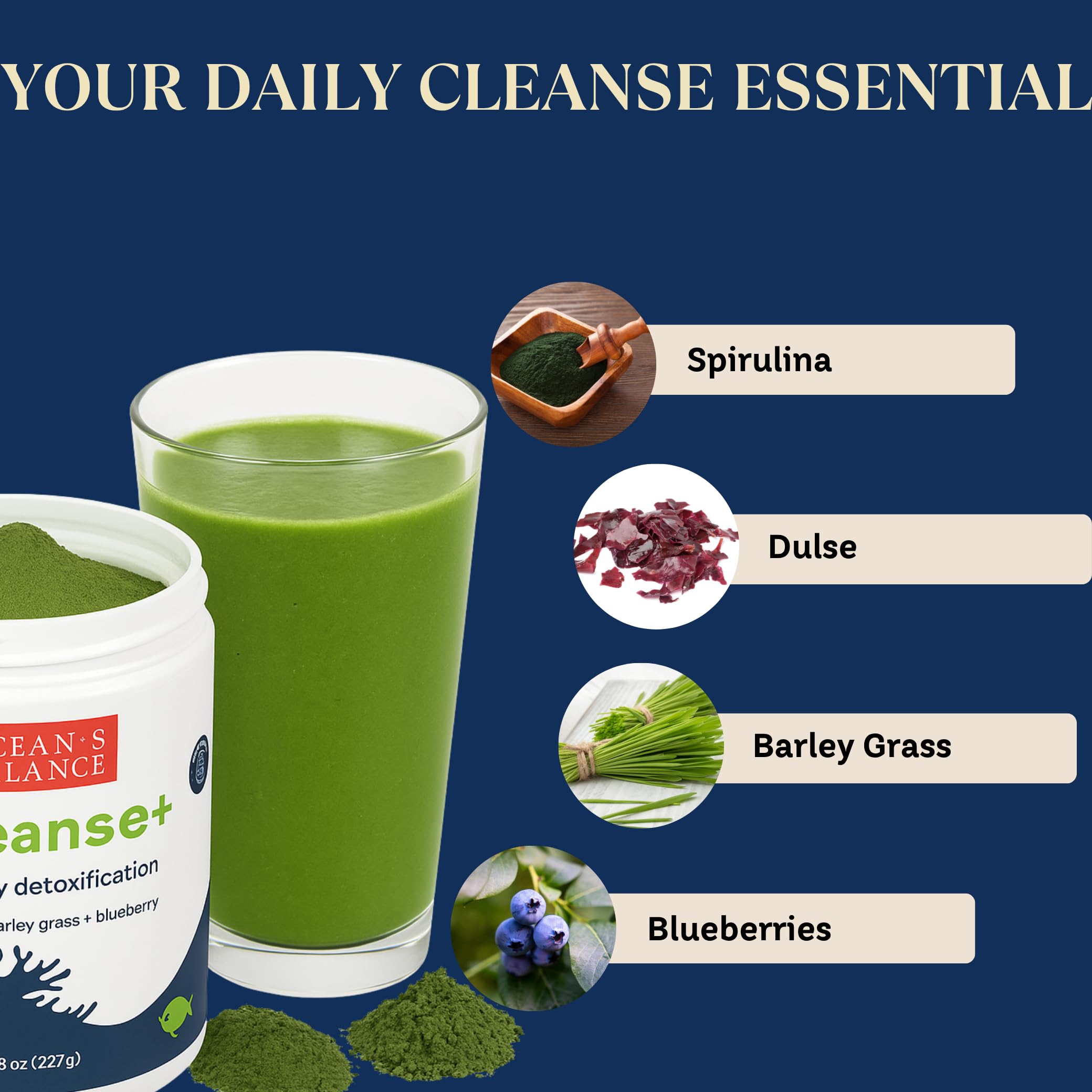 Ocean's Balance Seacleanse+ Daily Detox Cleanse Powder | Gut Health & Immune Support | Supports Gentle Cleanse & Vitality | 8oz Ocean's Balance Clean Taste of Maine uk supplements