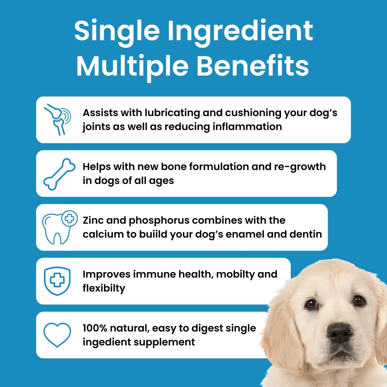 Hofseth BioCare Brilliant Bone & Joint Supplement for Dogs - High Strength Calcium & Collagen Powder for Joint & Hip Support, Essential Supplement for Dog’s of All Ages - 10.6 Oz Hofseth BioCare uk supplements