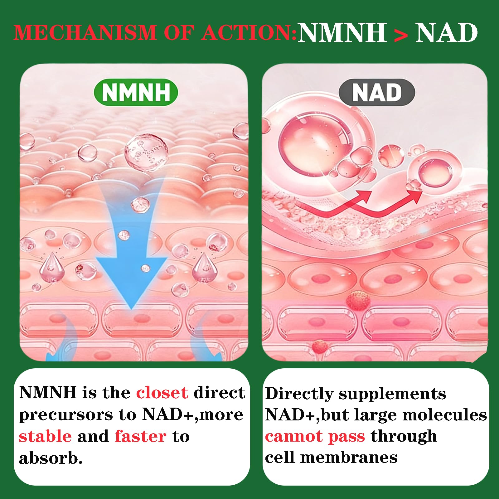 GHKALQ NMNH Supplement 1000mg,Liposomal Pure Nicotinamide Mononucleotide,Boost NAD Level with Resveratrol & Nicotinamide Riboside NR,High Absorption,for Cellular,Energy,Non-GMO,Vegan,120 Capsules GHKALQ uk supplements