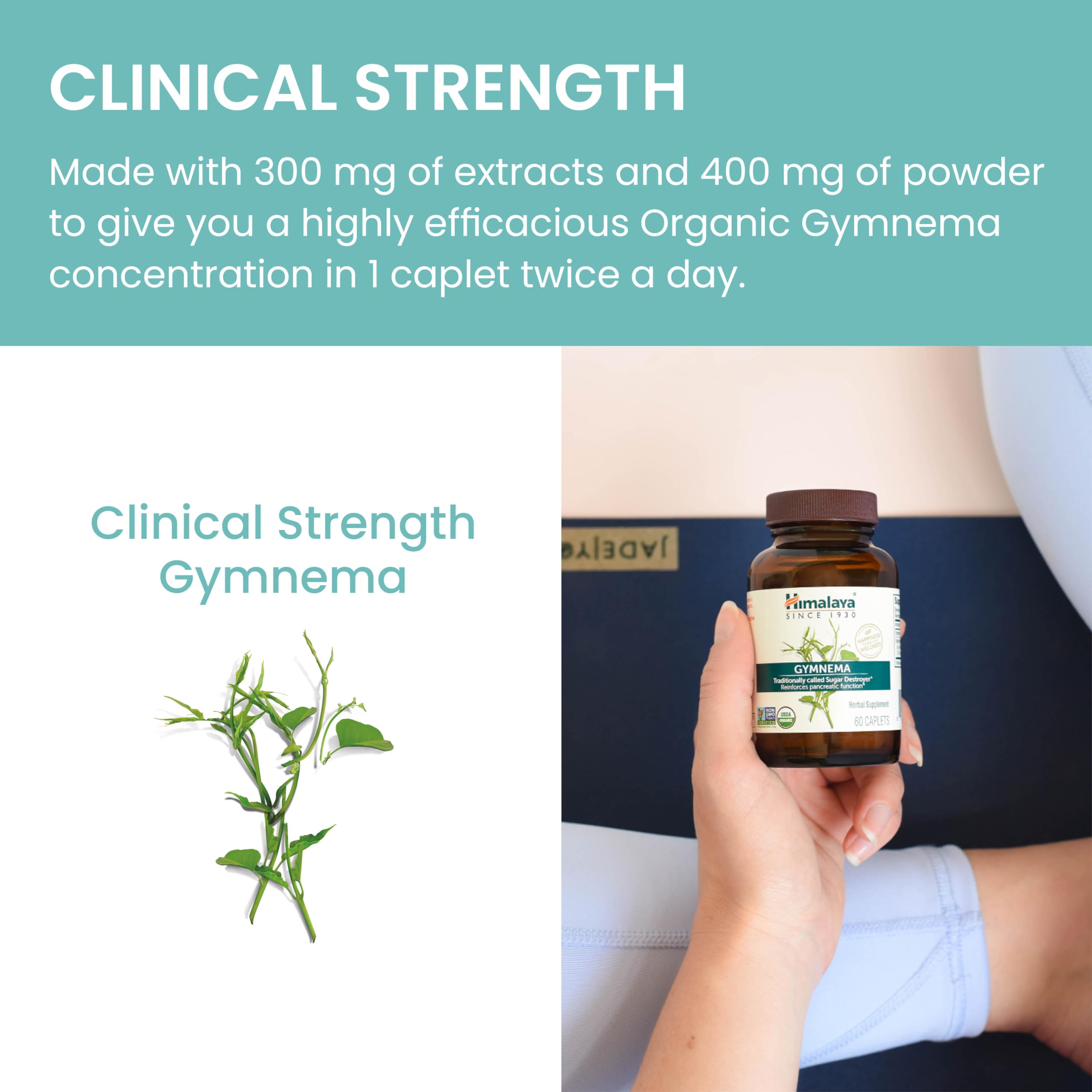 Himalaya Organic Gymnema Herbal Supplement for Weight Management, USDA Certified Himalaya uk supplements