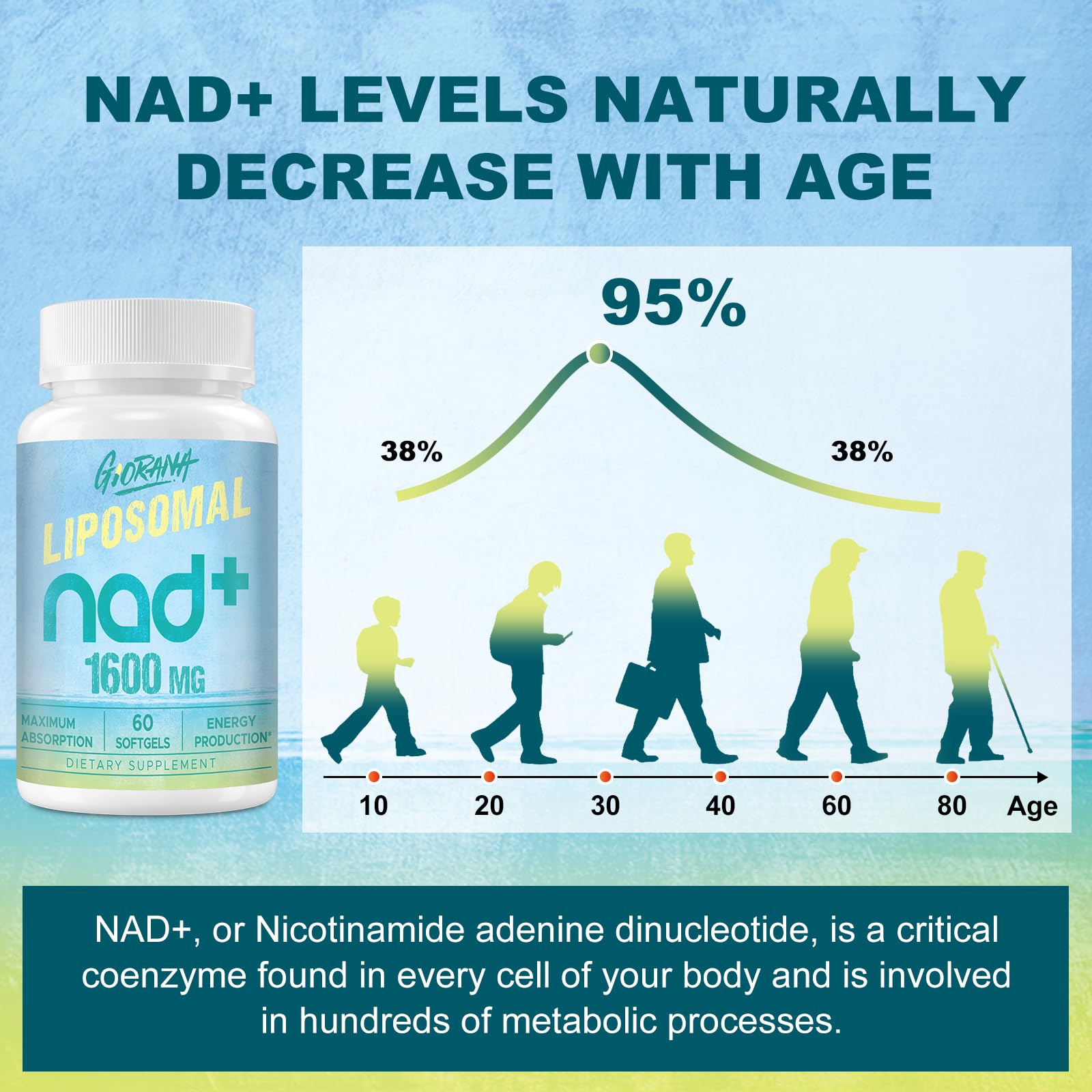 GIORANA 1600 MG Liposomal NAD+ Supplement, NAD+ Boosting Supplement, Superior Absorption, Vitamin B3 for Aging Defense, Longevity, Energy, Repair, Non-GMO, 60 Softgels GIORANA uk supplements
