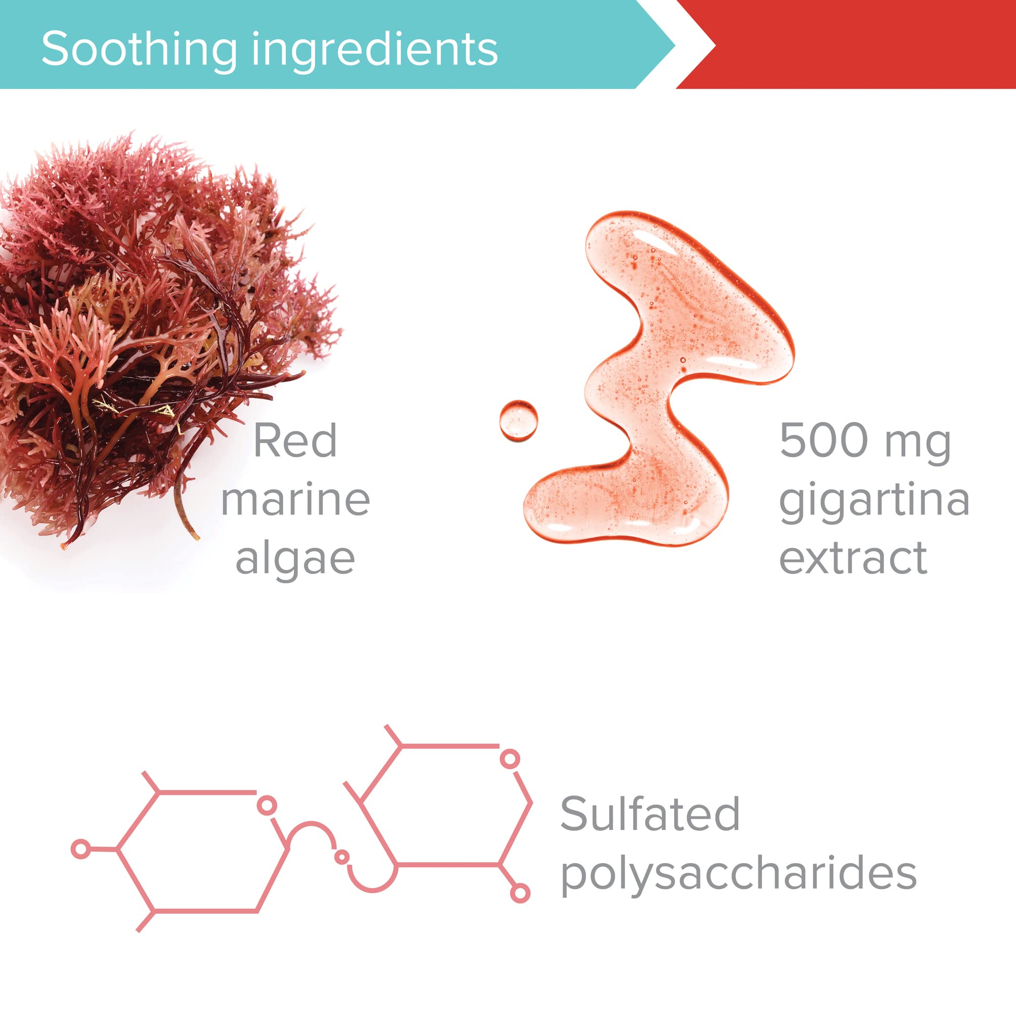 Vibrant Health, Gigartina Red Marine Algae, Plant-Based Immune Support, 60 Capsules Vibrant Health uk supplements