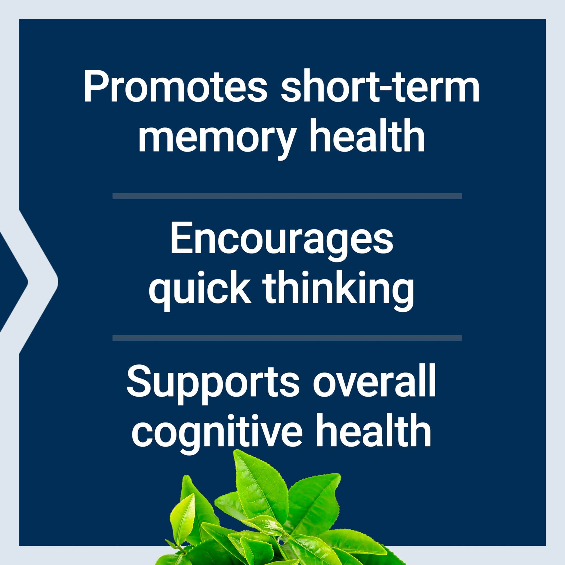 Life Extension Neuro-Mag Magnesium L-Threonate, Memory Health, Quick Thinking, Cognitive Health Support, Vegetarian, Non-GMO, 90 Vegetarian Capsules (144 mg from 2000 mg Magtein magnesium L-threonate Life Extension uk supplements