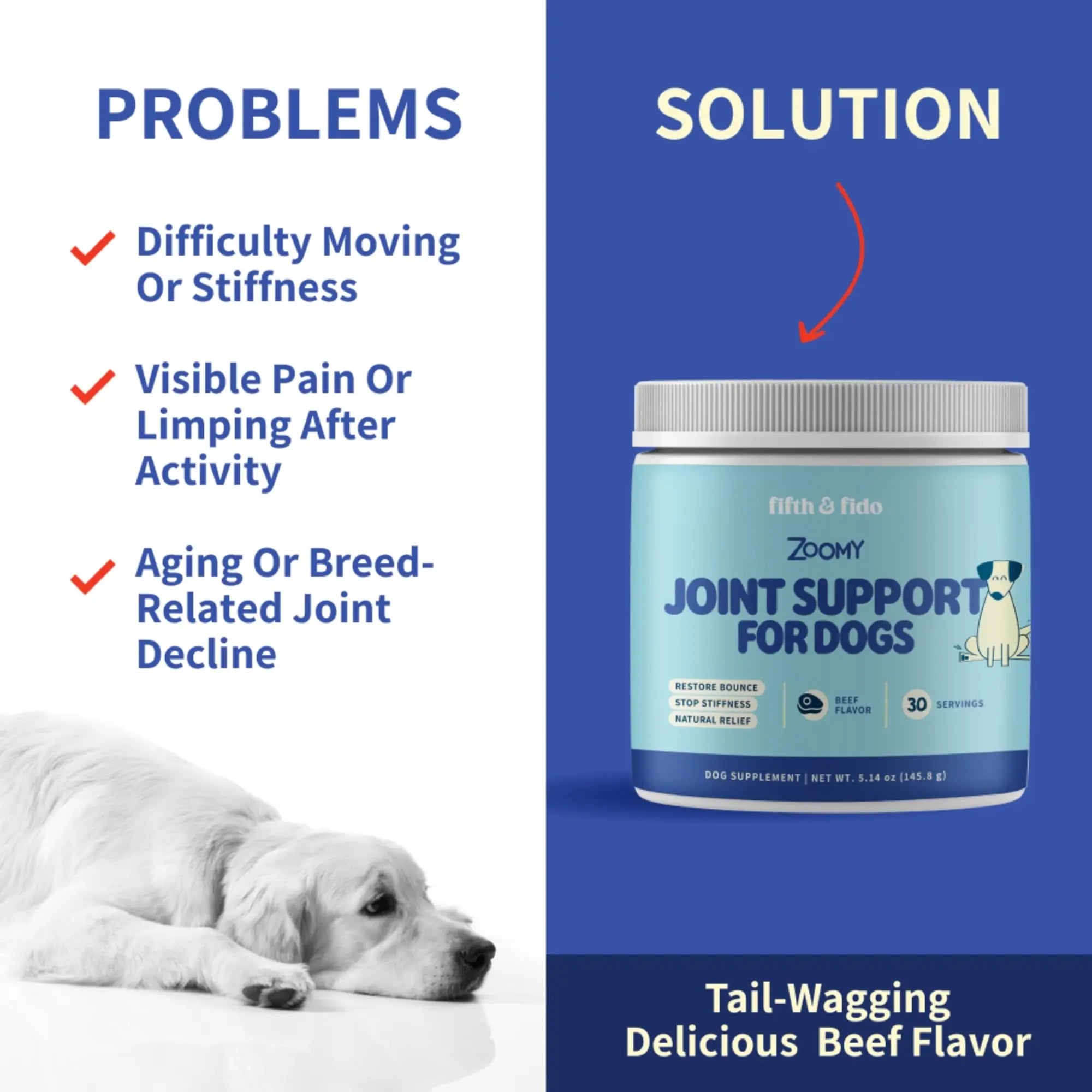 Fifth & Fido Joint Supplement for Dogs - Glucosamine for Dogs - Pet Vitamins and Supplements Powder with Chondroitin & MSM - Hip & Joint Support for Mobility, Stiffness & Flexibility - Mushroom Blend Fifth & Fido uk supplements