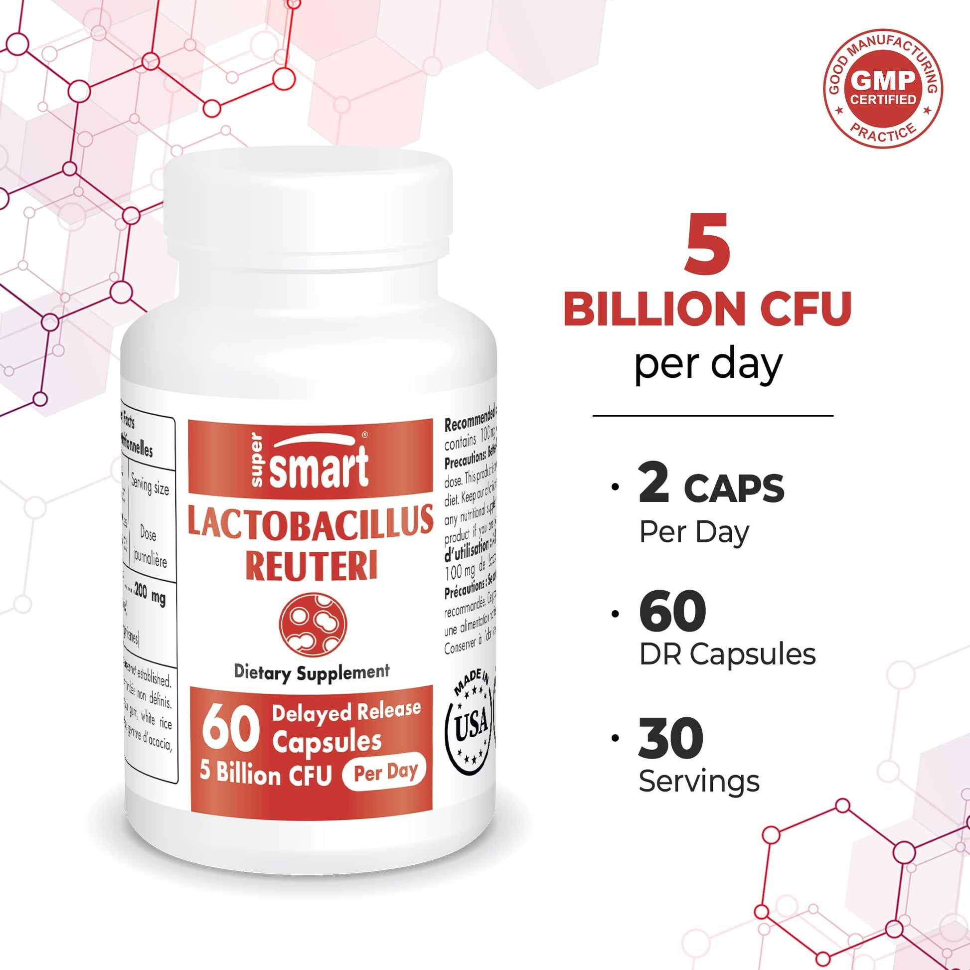 Supersmart - Lactobacillus Reuteri 5 Billion CFU per Day (Probiotic Supplement) Supersmart uk supplements