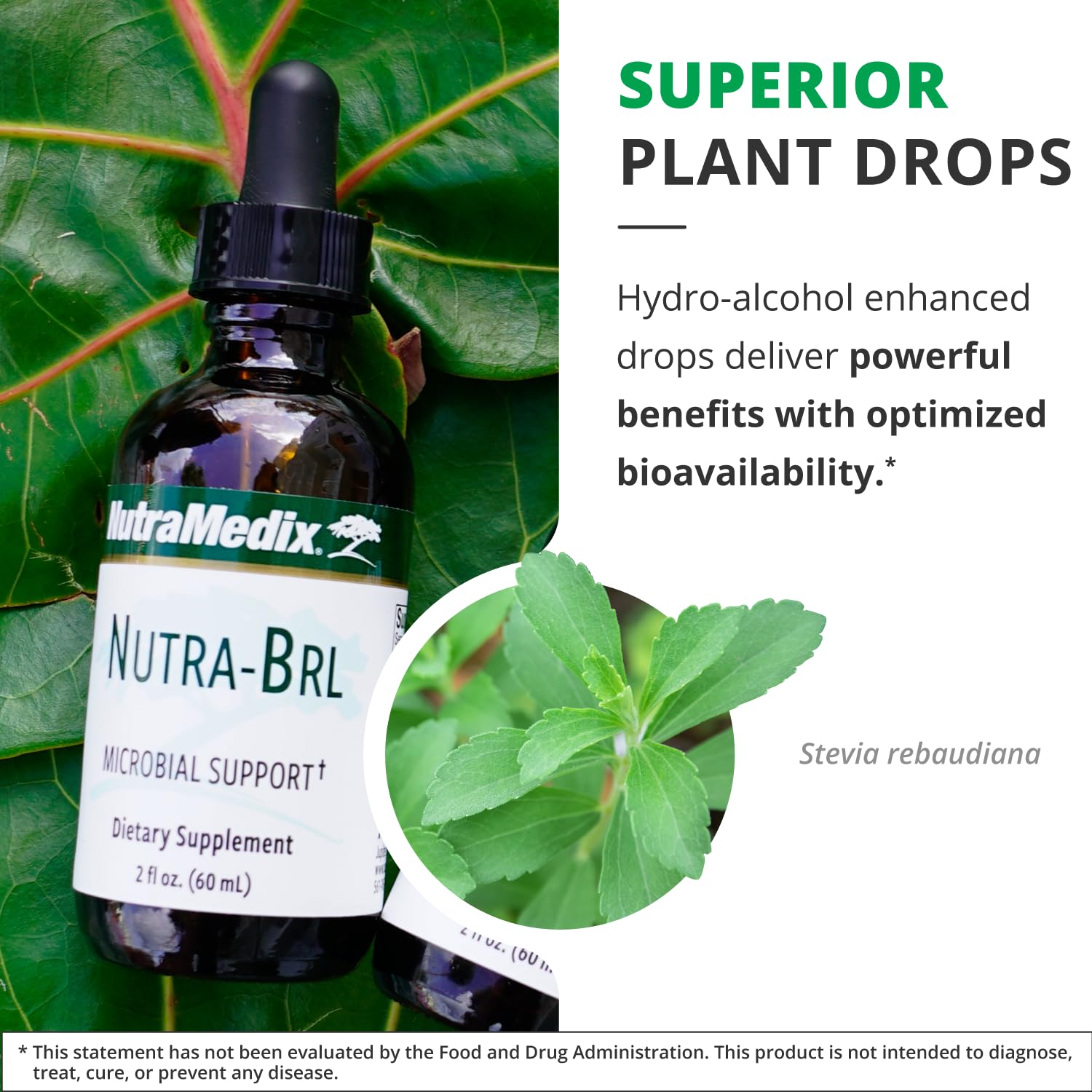 Nutramedix Nutra BRL - Liquid Herbal Supplement for Gut Health & Immune Support - Samento & Banderol for Digestive Health - Immune System Booster Supplement (60mL) NutraMedix uk supplements