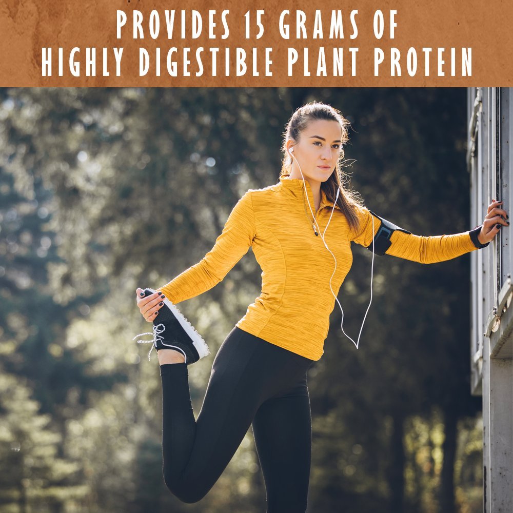 Garden of Life Organic Plant Protein Smooth Chocolate Powder, 10 Servings - Vegan, Grain Garden of Life uk supplements