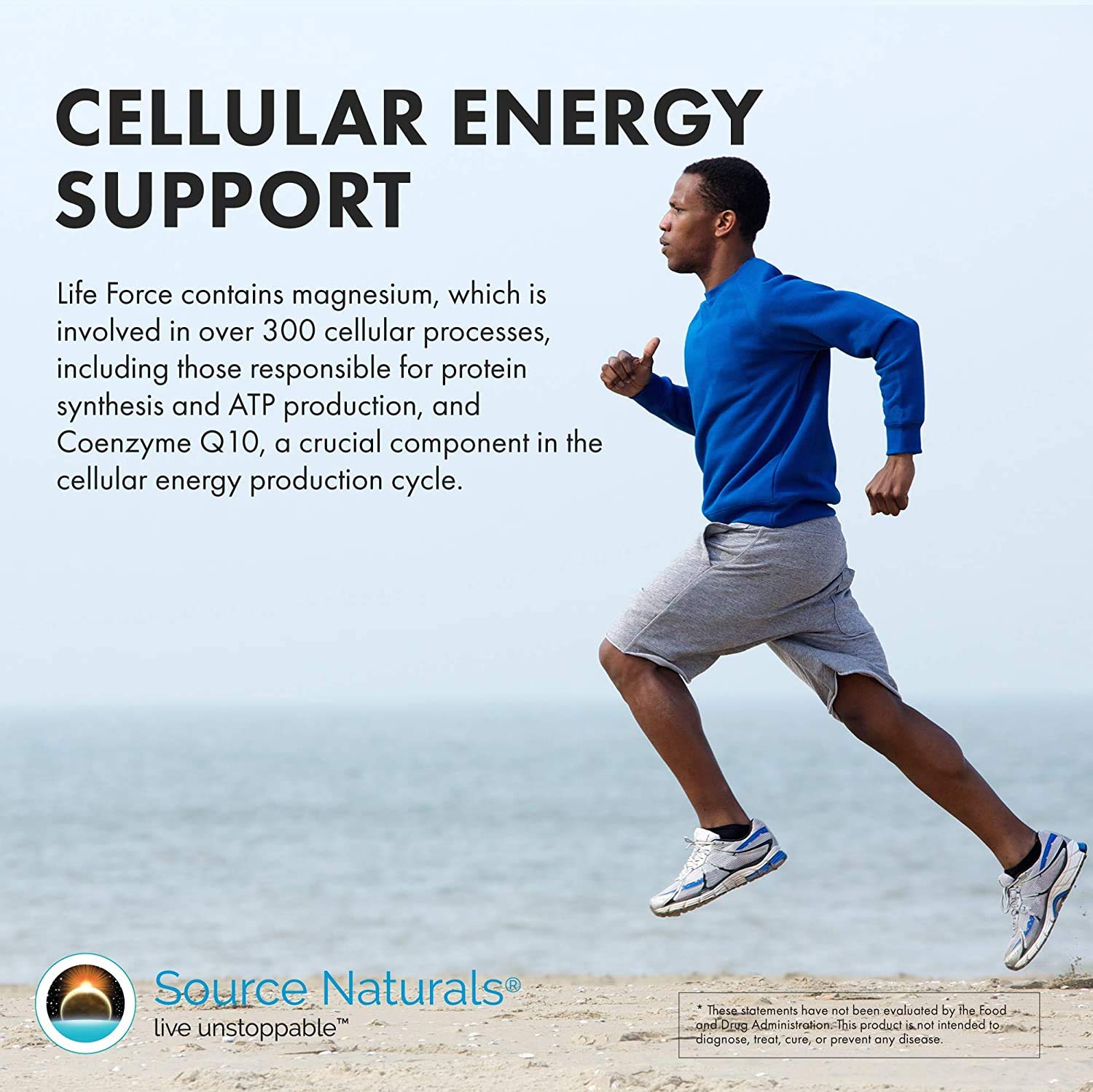 Source Naturals Men's Life Force Multiple Daily Multivitamin & Immune Health Supplement - 13 Essential Vitamins, Nutrients & Minerals* - 45 Tablets Source Naturals uk supplements
