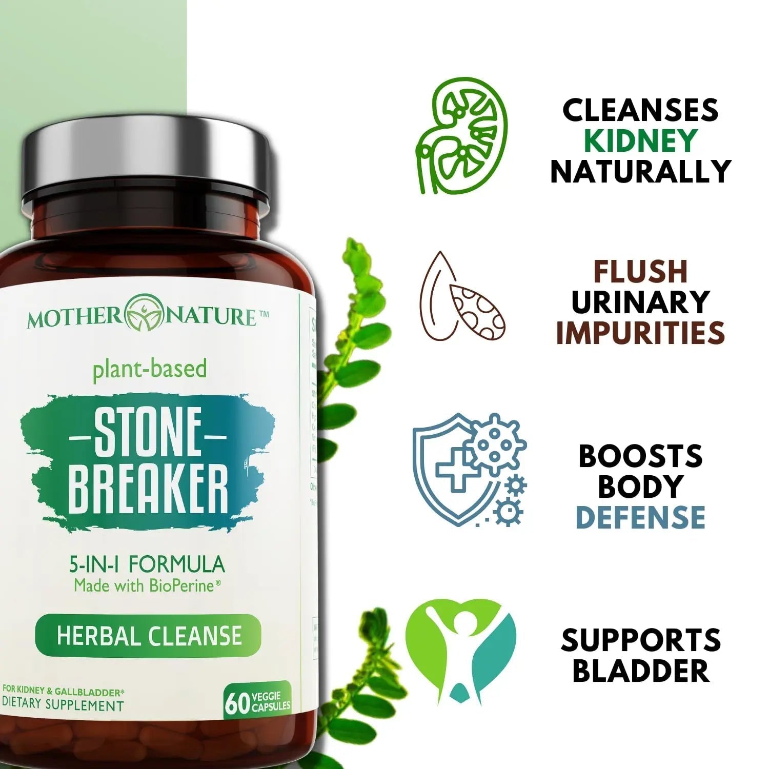 Stone Breaker Chanca Piedra Capsules, Dissolve Kidney & Gallbladder, Detoxify Urinary Tract, Flush Impurities, Kidney Support with Celery Seed Extract - 60 Veg Capsules Mother Nature Organics Superfoods for Organic Living uk supplements